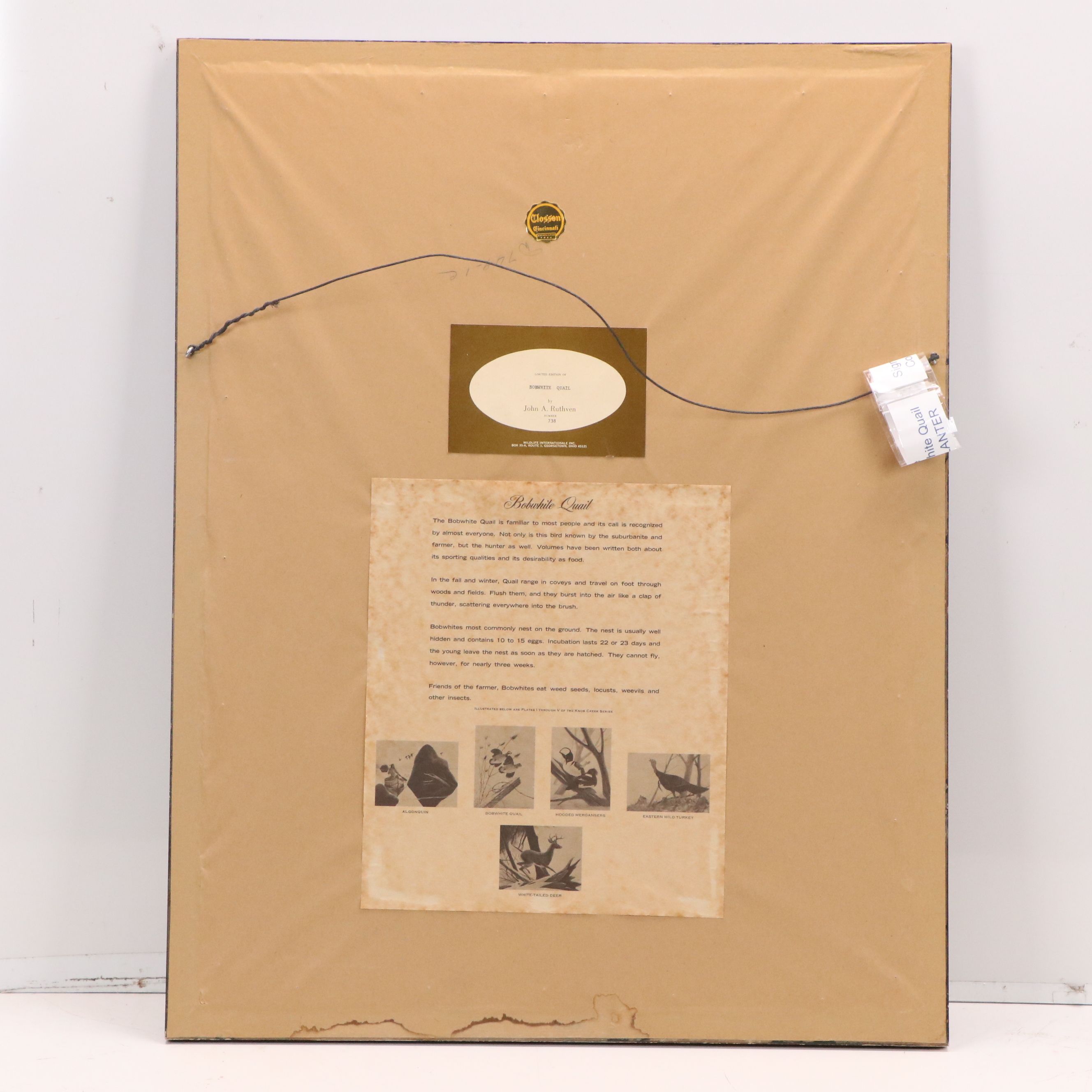 John A. Ruthven Offset Lithograph "Bobwhite Quail"