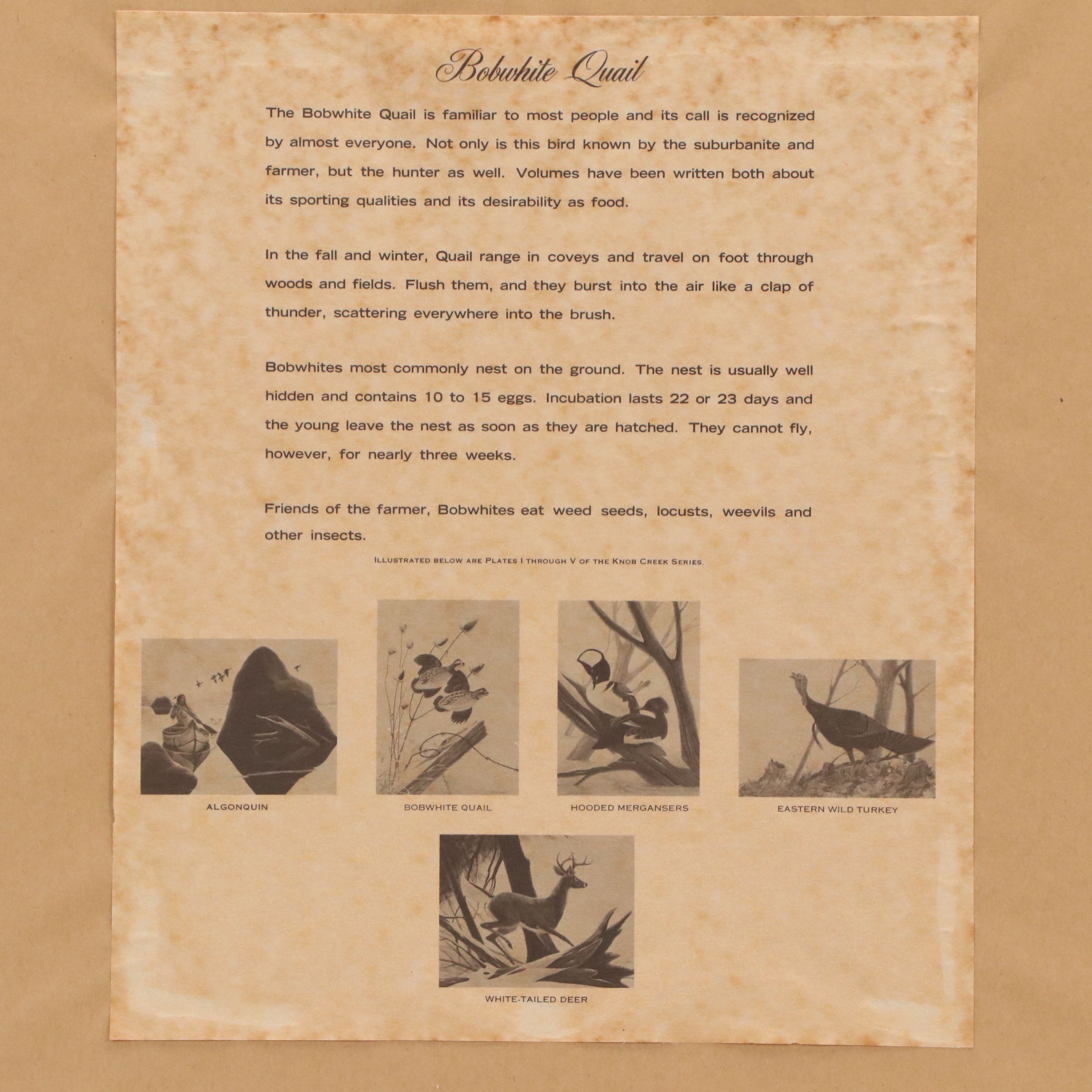 John A. Ruthven Offset Lithograph "Bobwhite Quail"