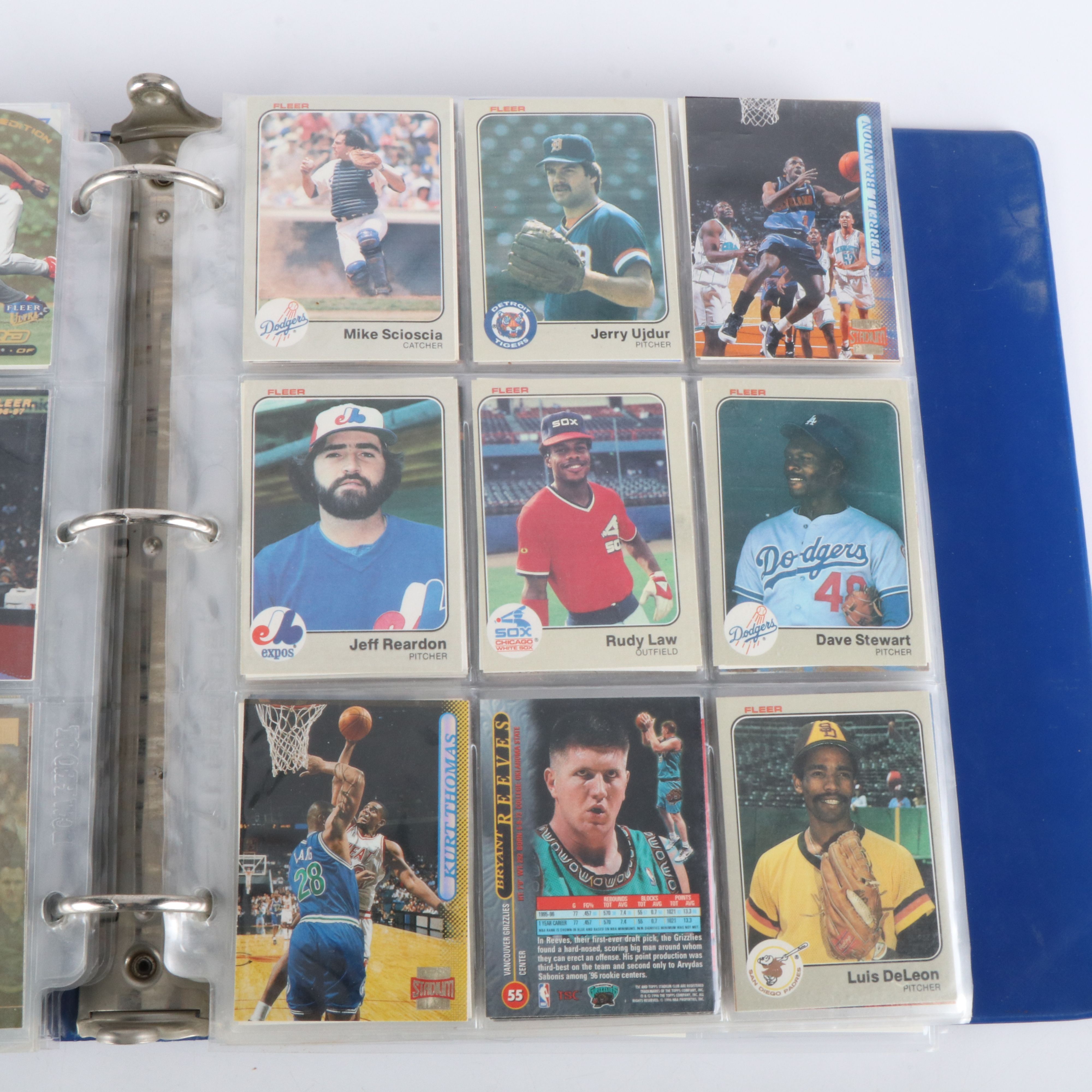 Allure with Other Sports Cards Featuring Serial Numbered and Signed