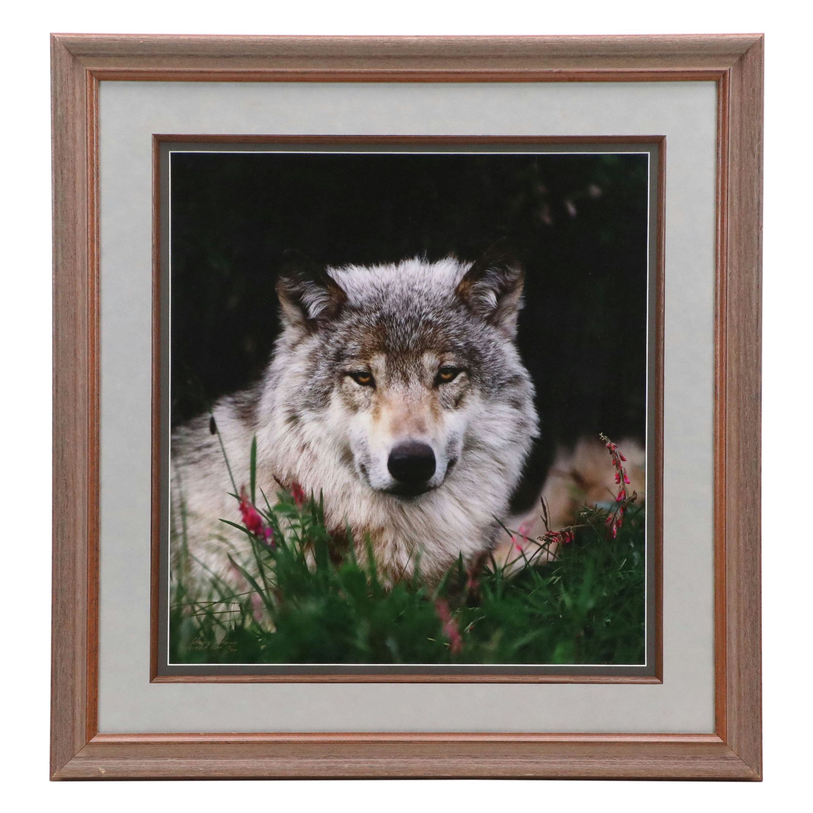 Johnny Johnson Fuji-Crystal Archival Print "Soul of Silence," 1992