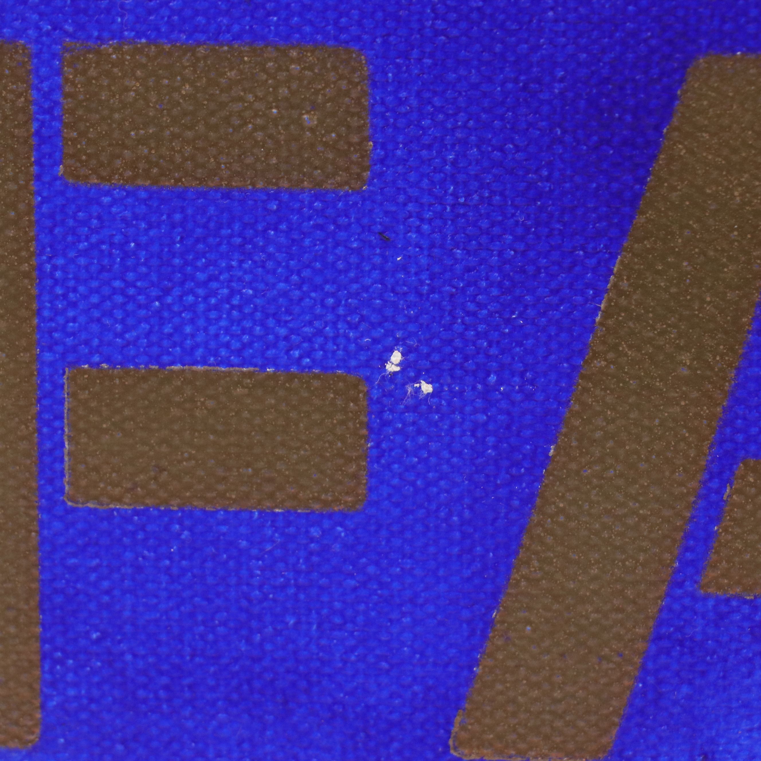 Pop Art Acrylic Painting "Stop Making Stupid People Famous"