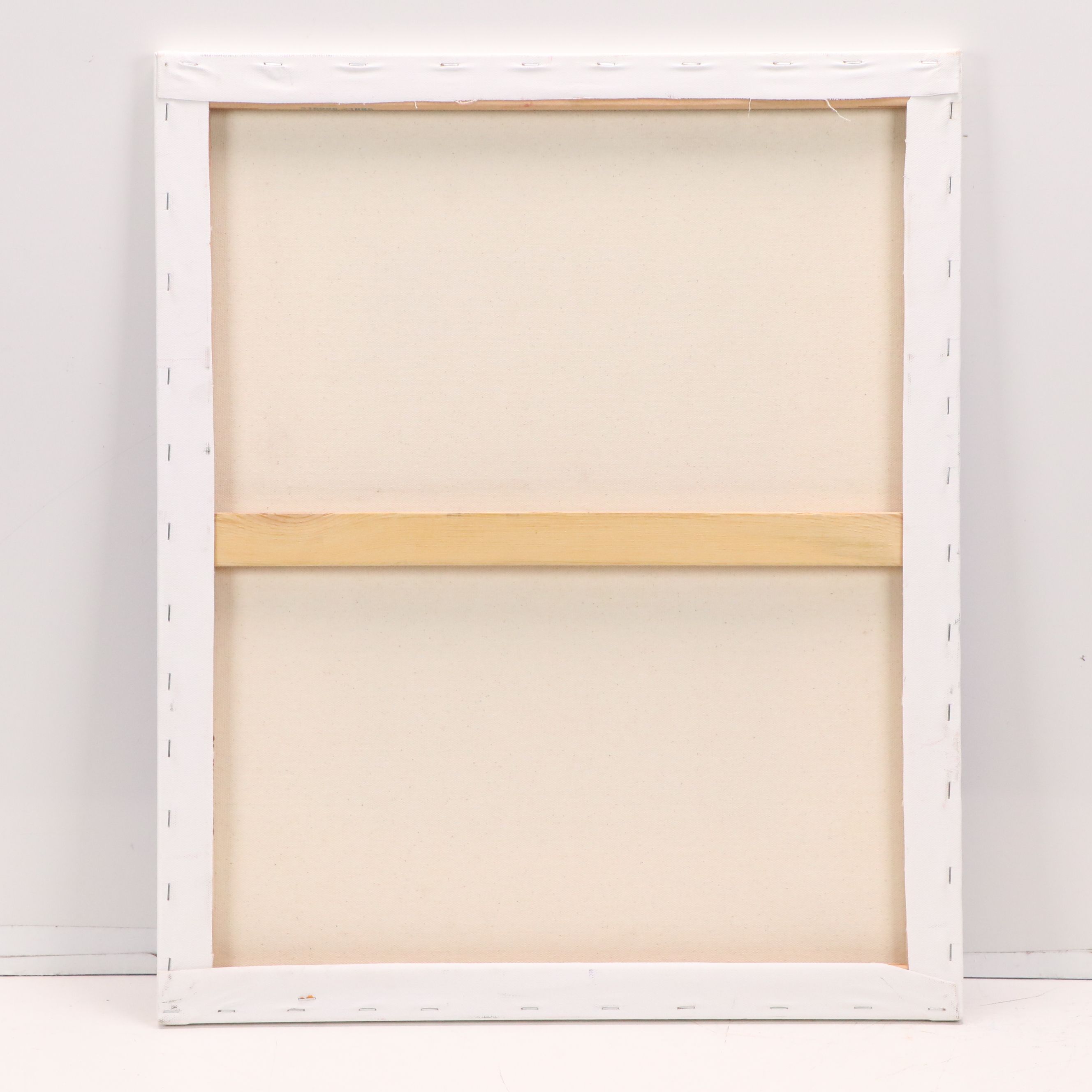 Pop Art Acrylic Painting "Stop Making Stupid People Famous"