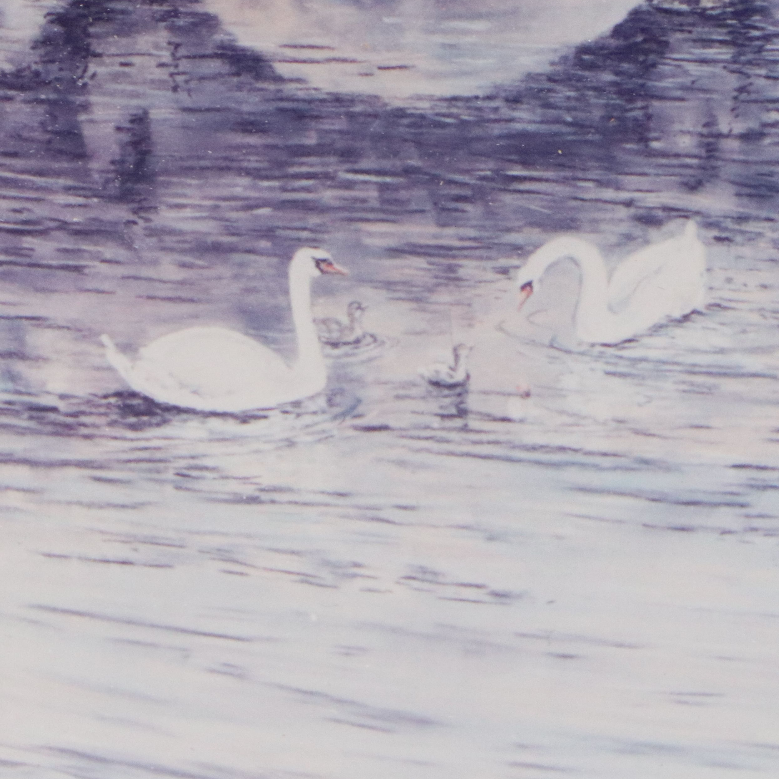 Philip Gray Photographic Print "Swans"