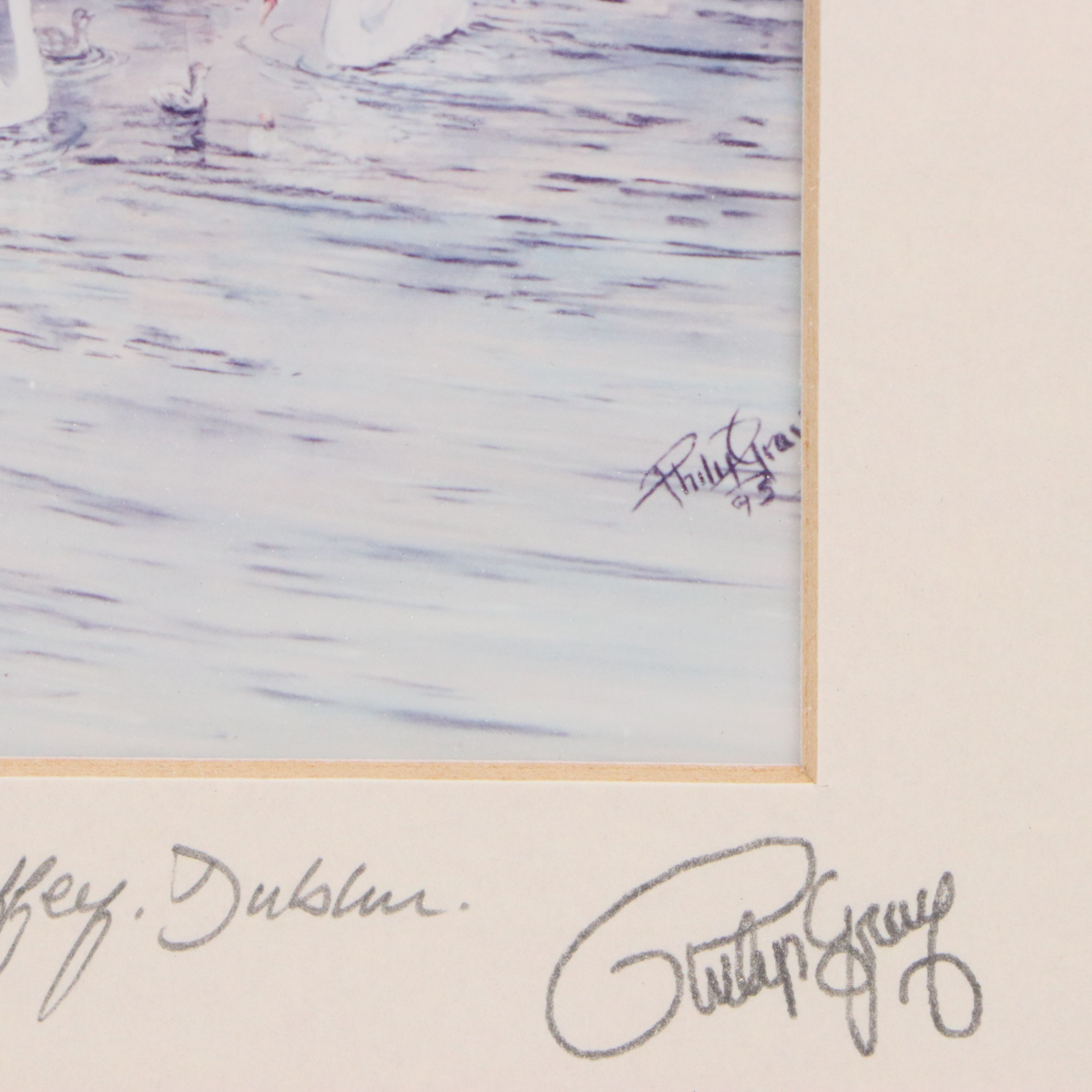 Philip Gray Photographic Print "Swans"