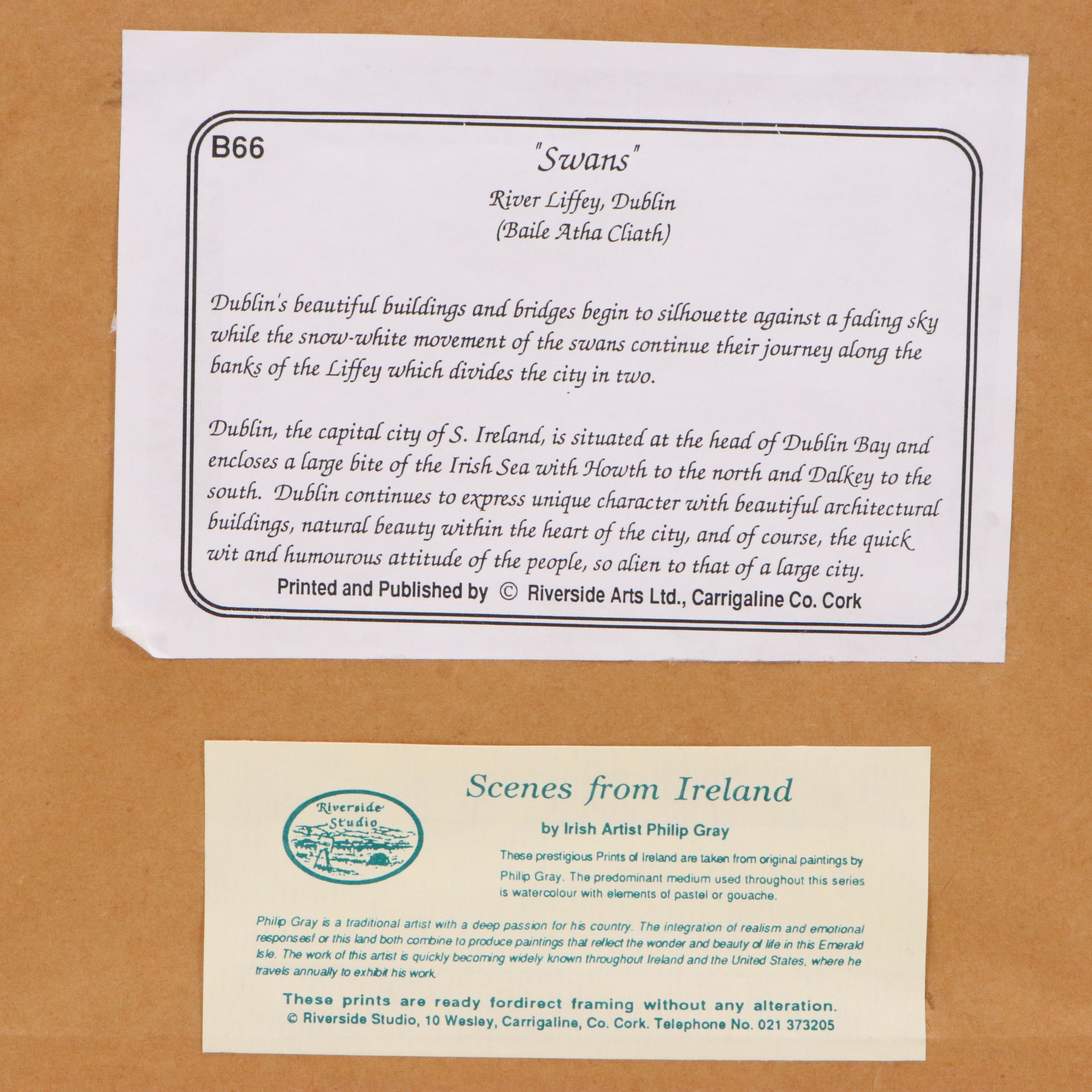 Philip Gray Photographic Print "Swans"