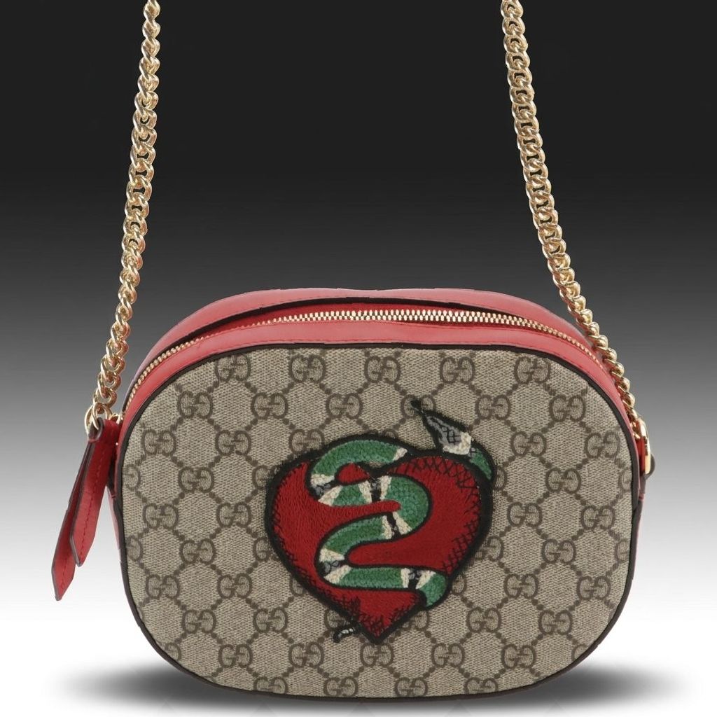 Gucci Snake Embroidery Chain Crossbody Bag in GG Supreme Canvas and Red Leather