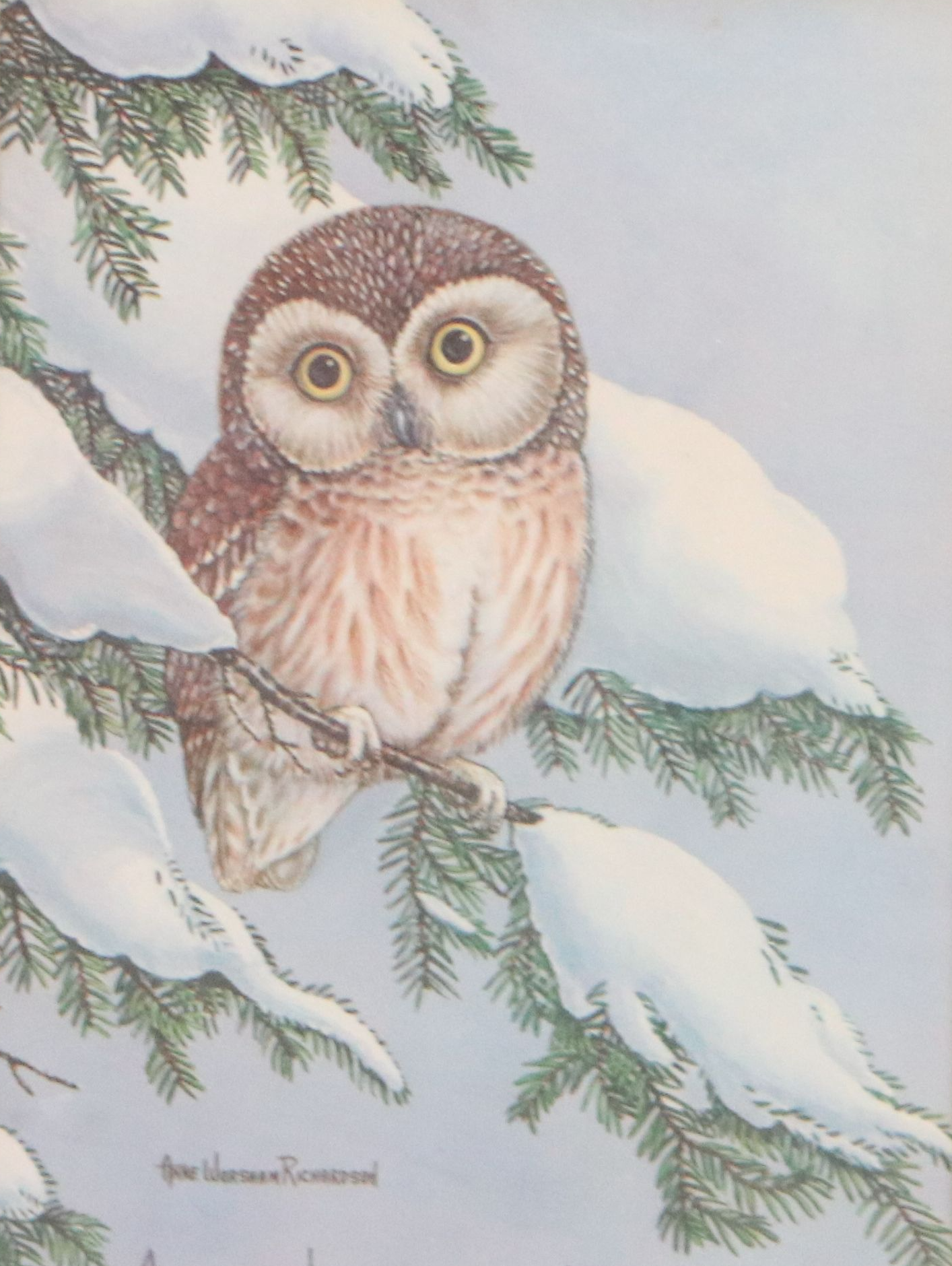 Anne Worsham Richardson Offset Lithograph of Owl