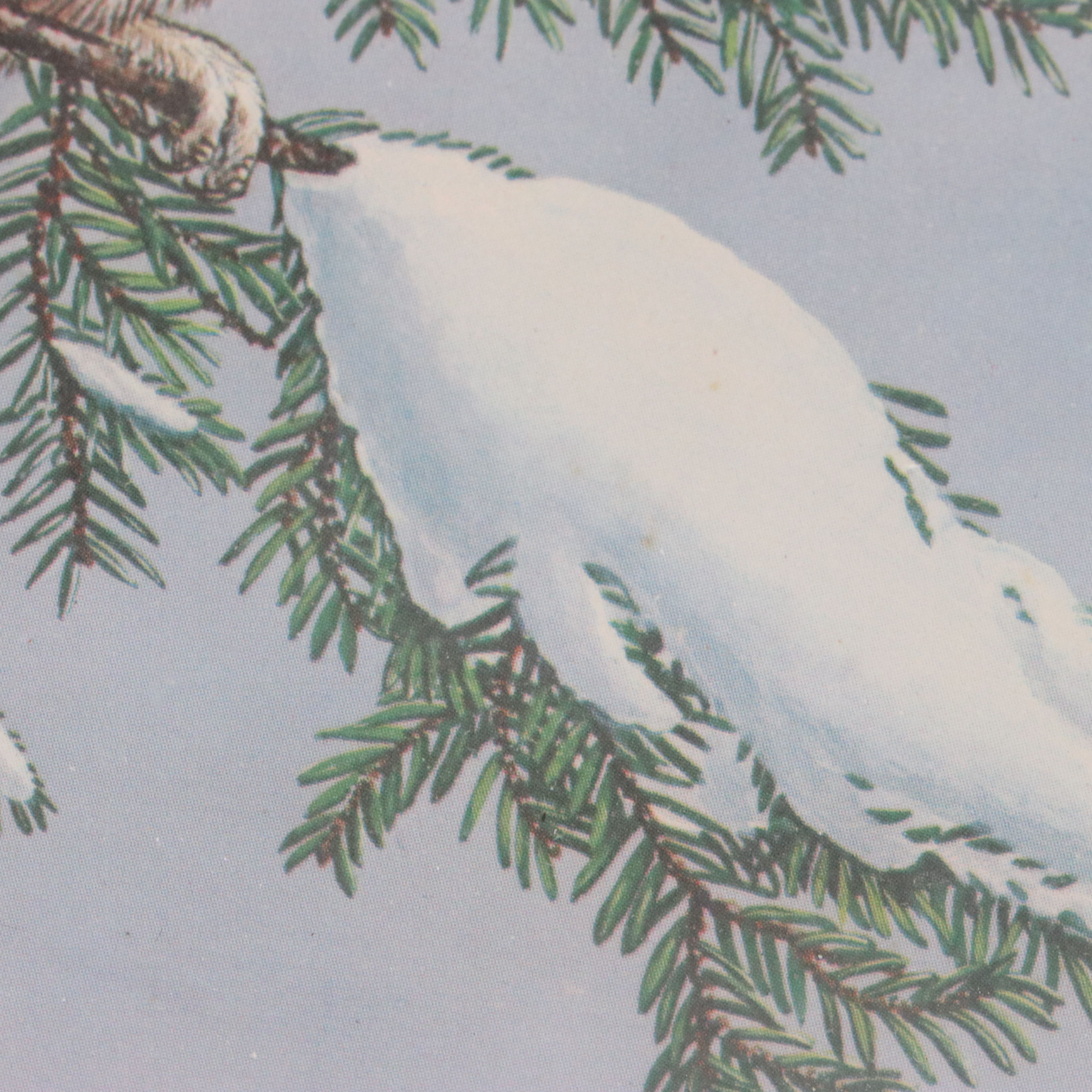 Anne Worsham Richardson Offset Lithograph of Owl