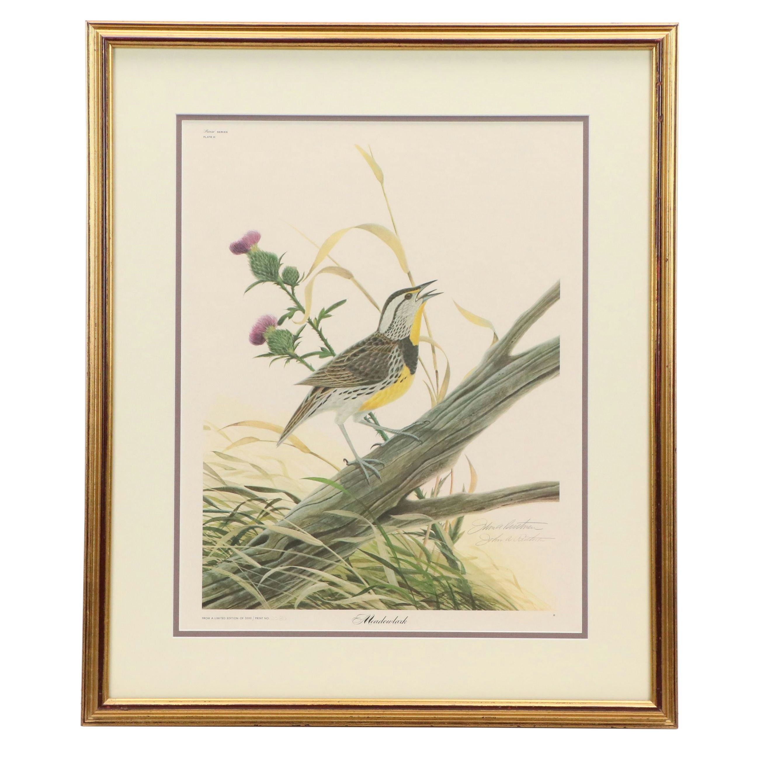 John A. Ruthven Offset Lithograph "Meadowlark"