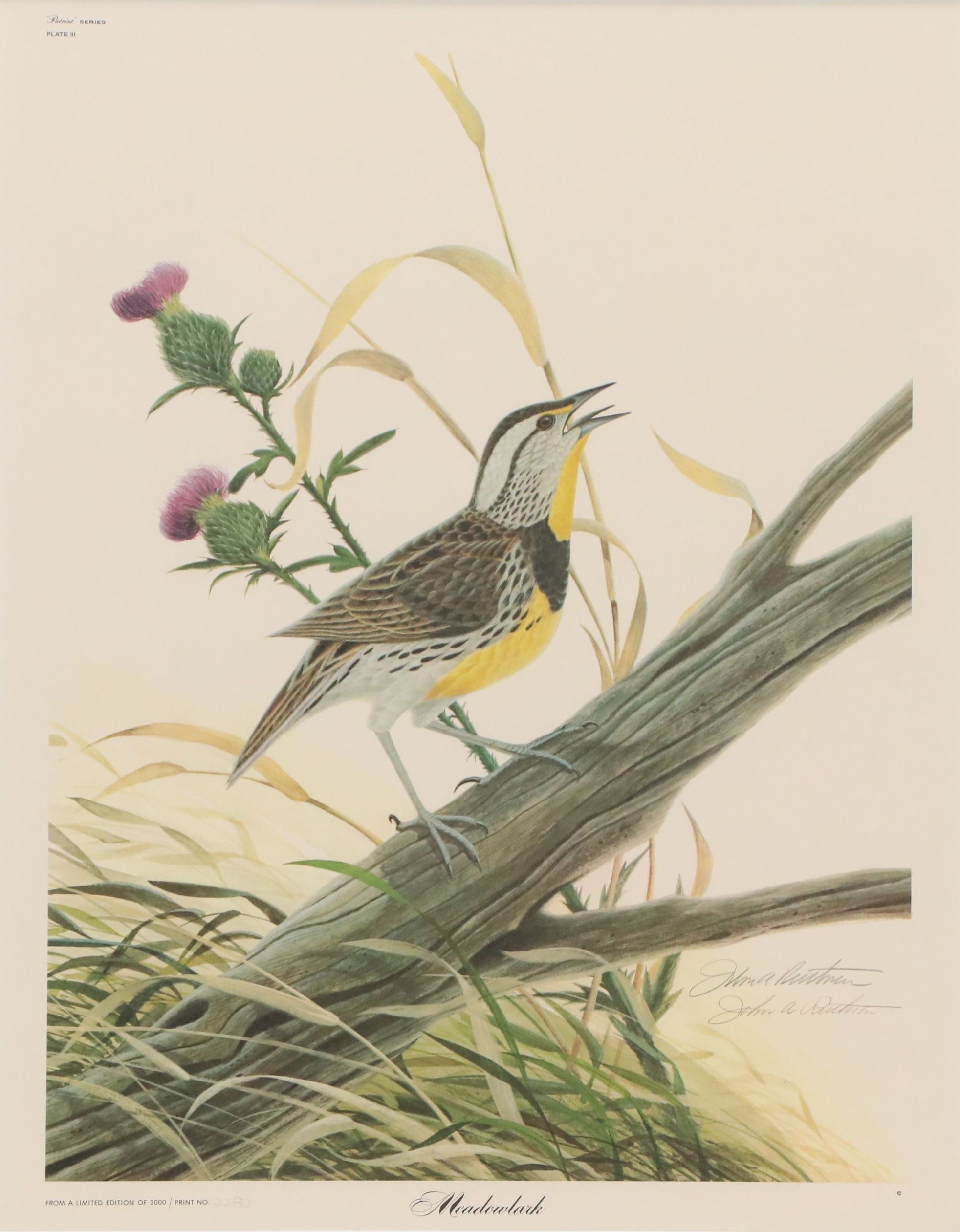 John A. Ruthven Offset Lithograph "Meadowlark"