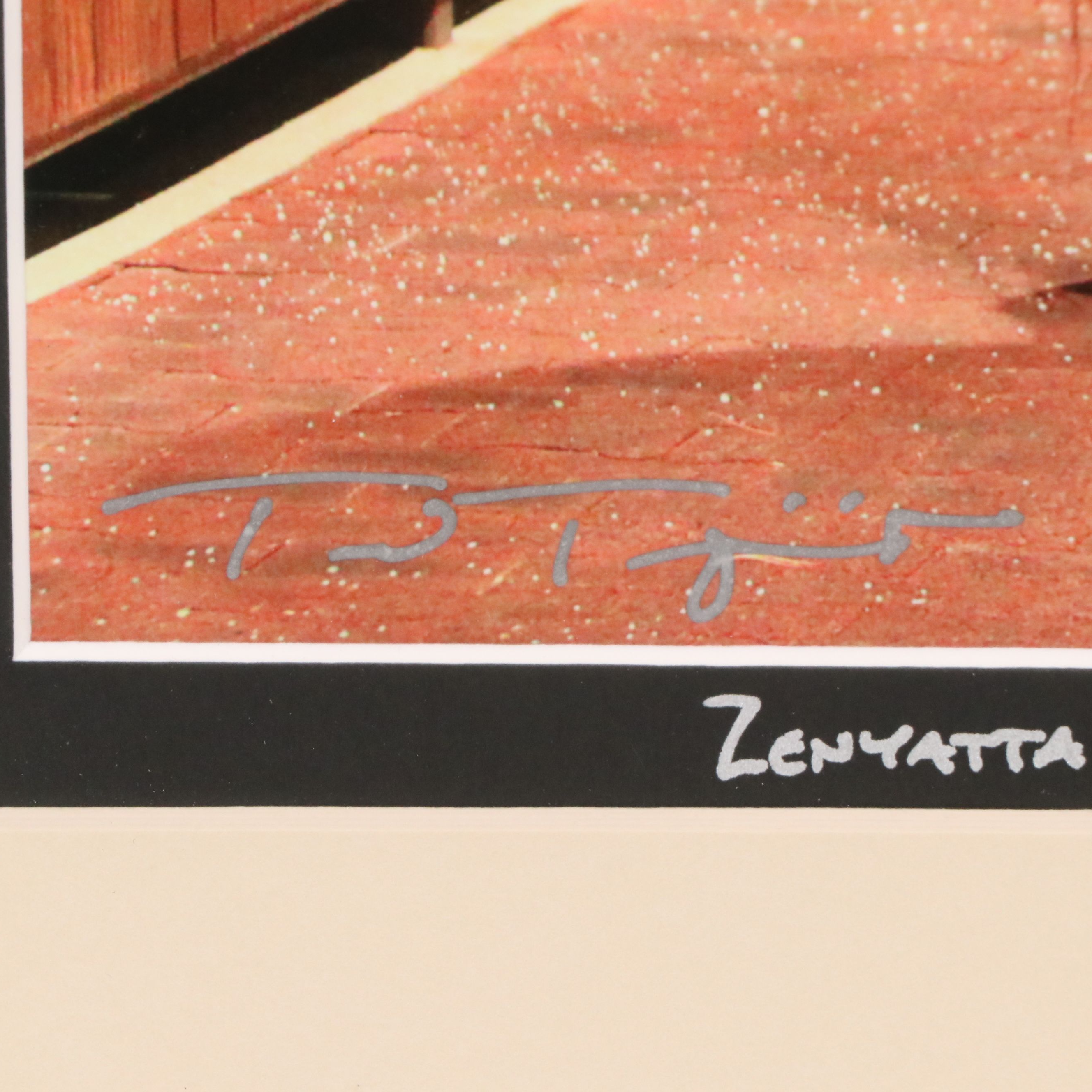 Equine Portrait Photograph "Zenyatta's Final Bow, Dec. 6, 2010, Keeneland..."