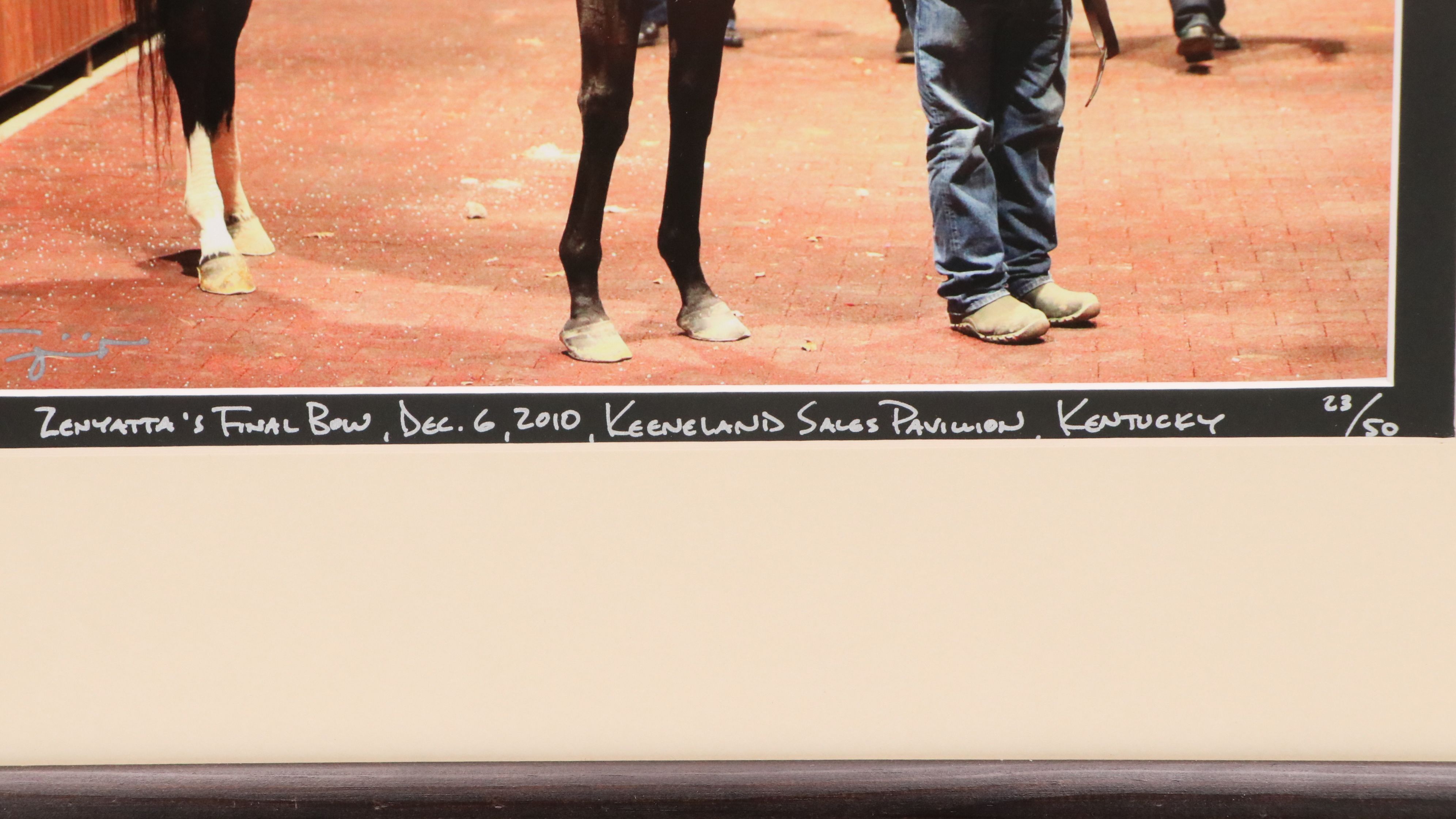 Equine Portrait Photograph "Zenyatta's Final Bow, Dec. 6, 2010, Keeneland..."