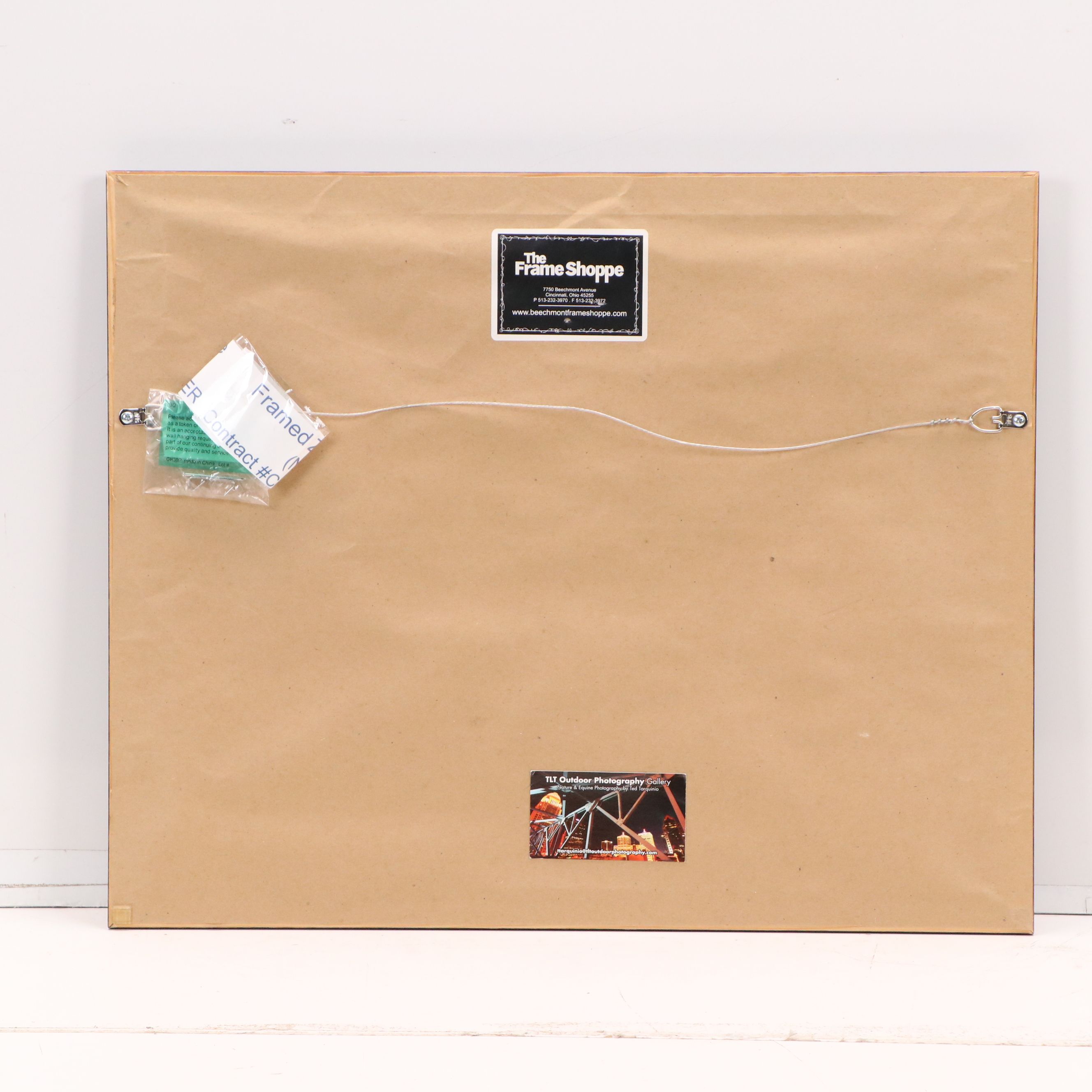 Equine Portrait Photograph "Zenyatta's Final Bow, Dec. 6, 2010, Keeneland..."