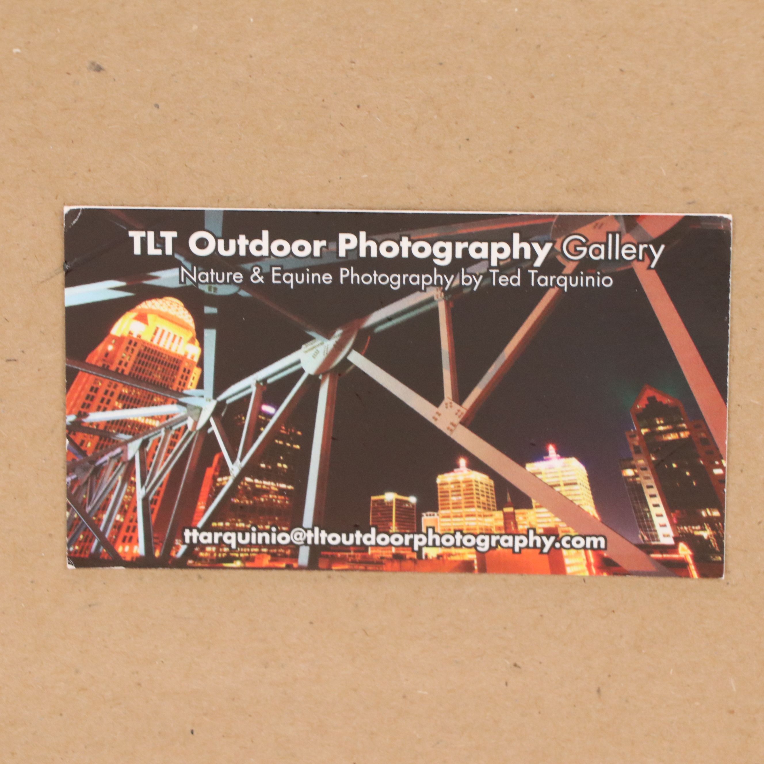 Equine Portrait Photograph "Zenyatta's Final Bow, Dec. 6, 2010, Keeneland..."