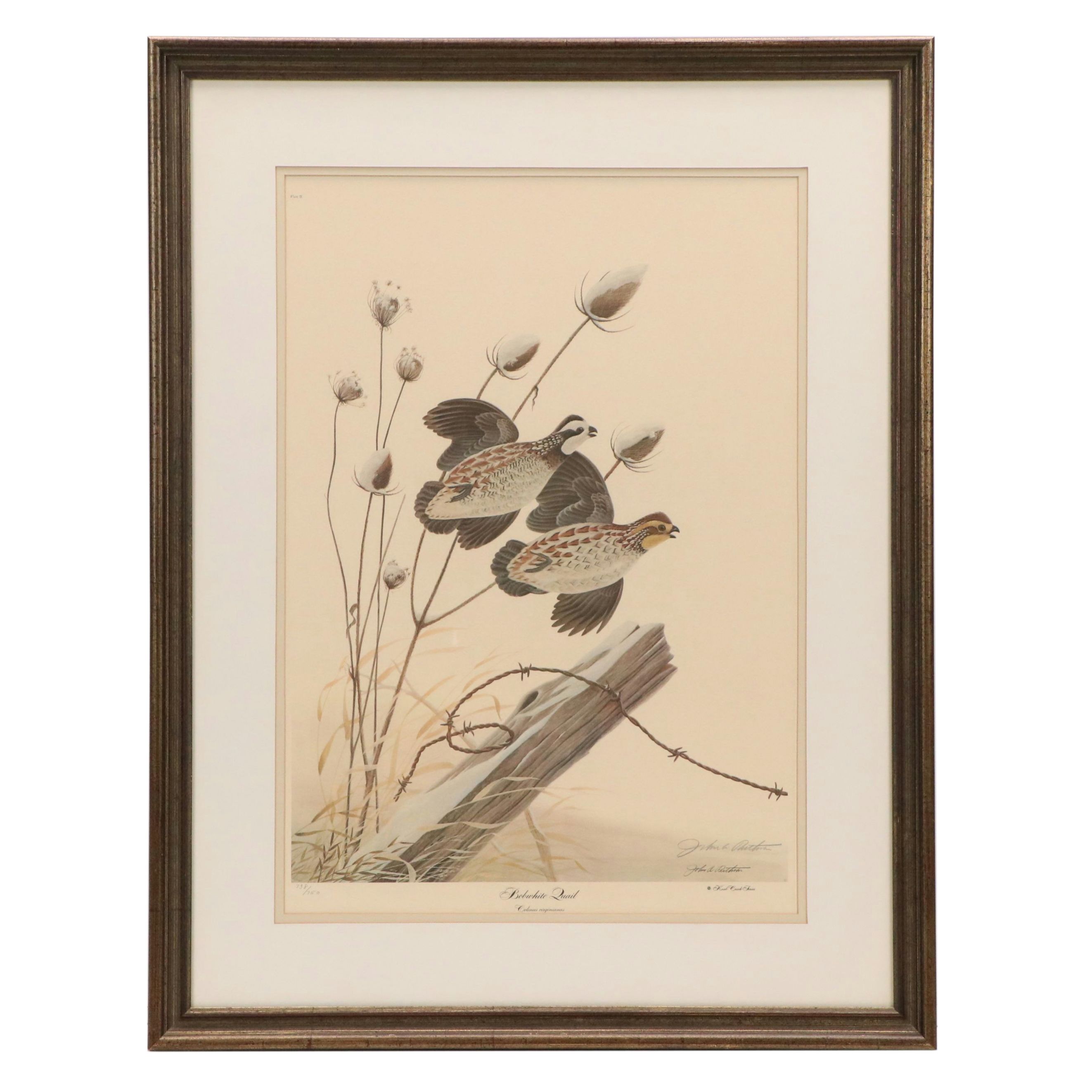 John A. Ruthven Offset Lithograph "Bobwhite Quail"