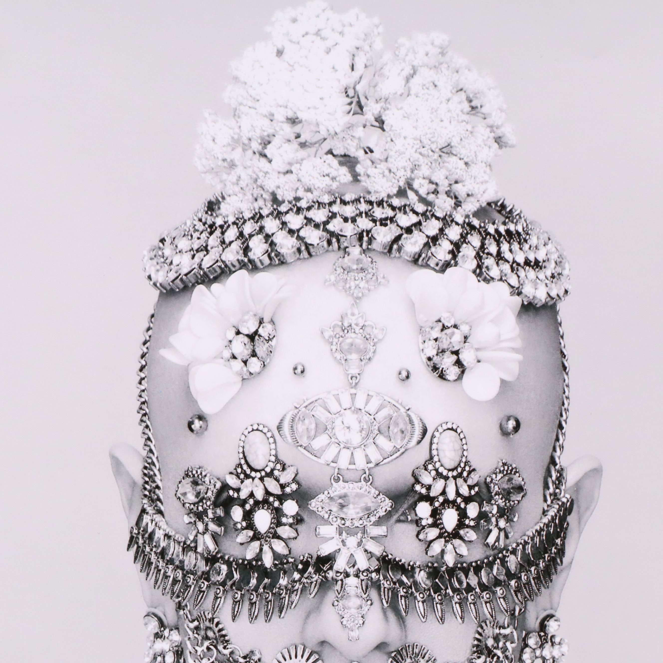 Ryan Barke Digital Chromogenic Print "The Crown Jewel," 2022