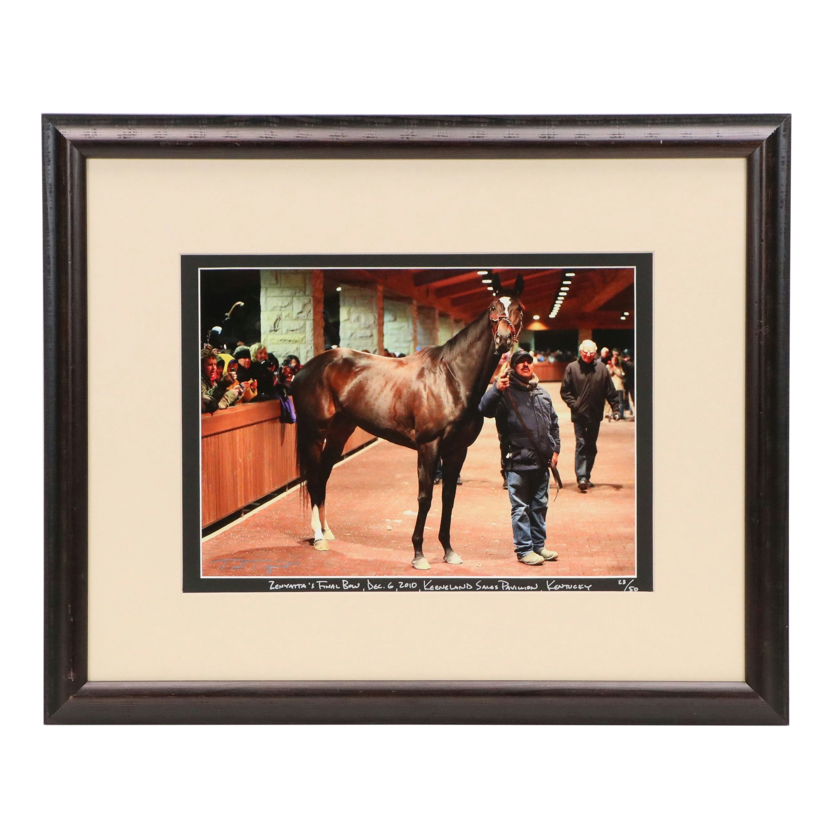 Equine Portrait Photograph "Zenyatta's Final Bow, Dec. 6, 2010, Keeneland..."