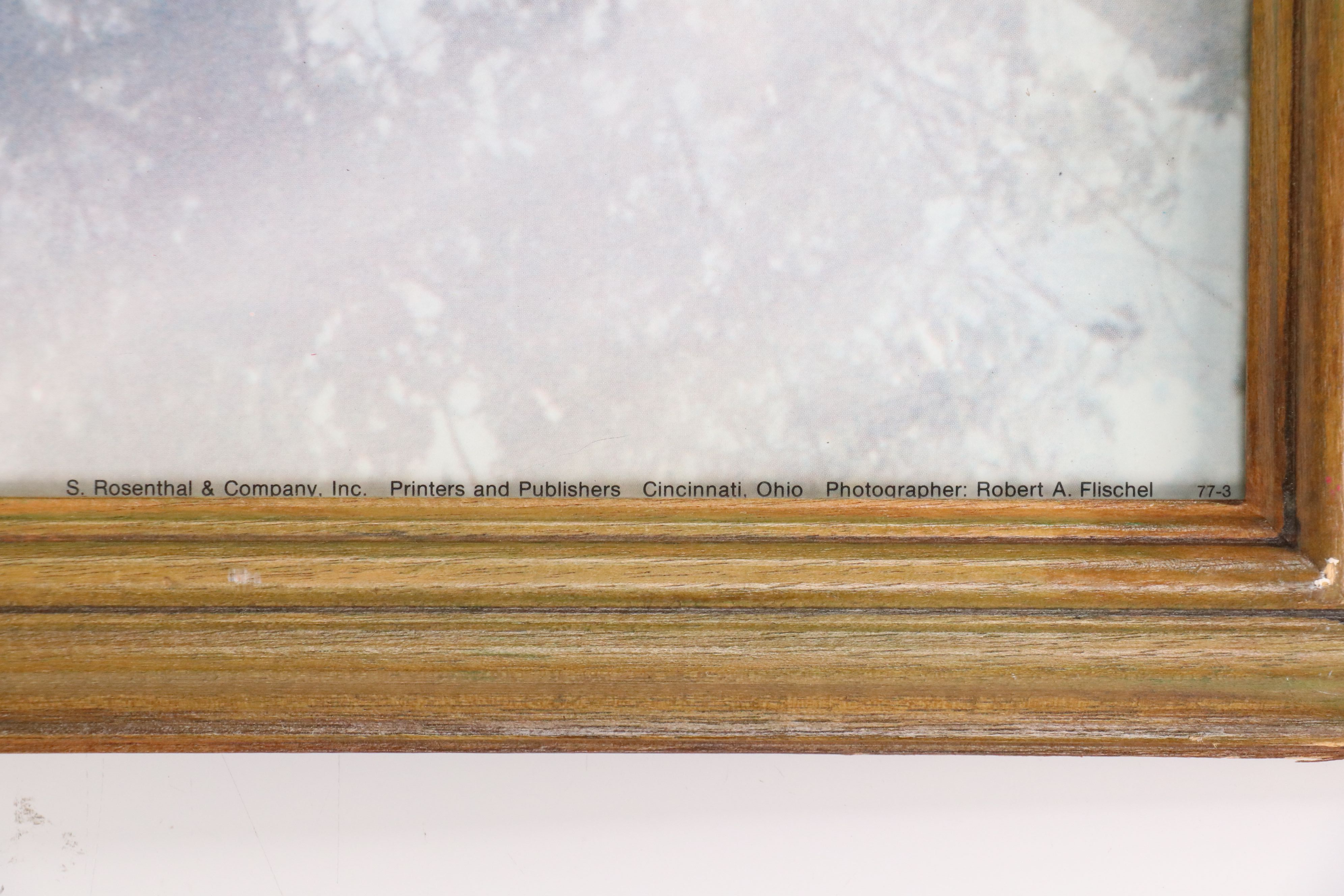 Offset Lithograph After Robert A. Flischel "Eden Park/Cincinnati"