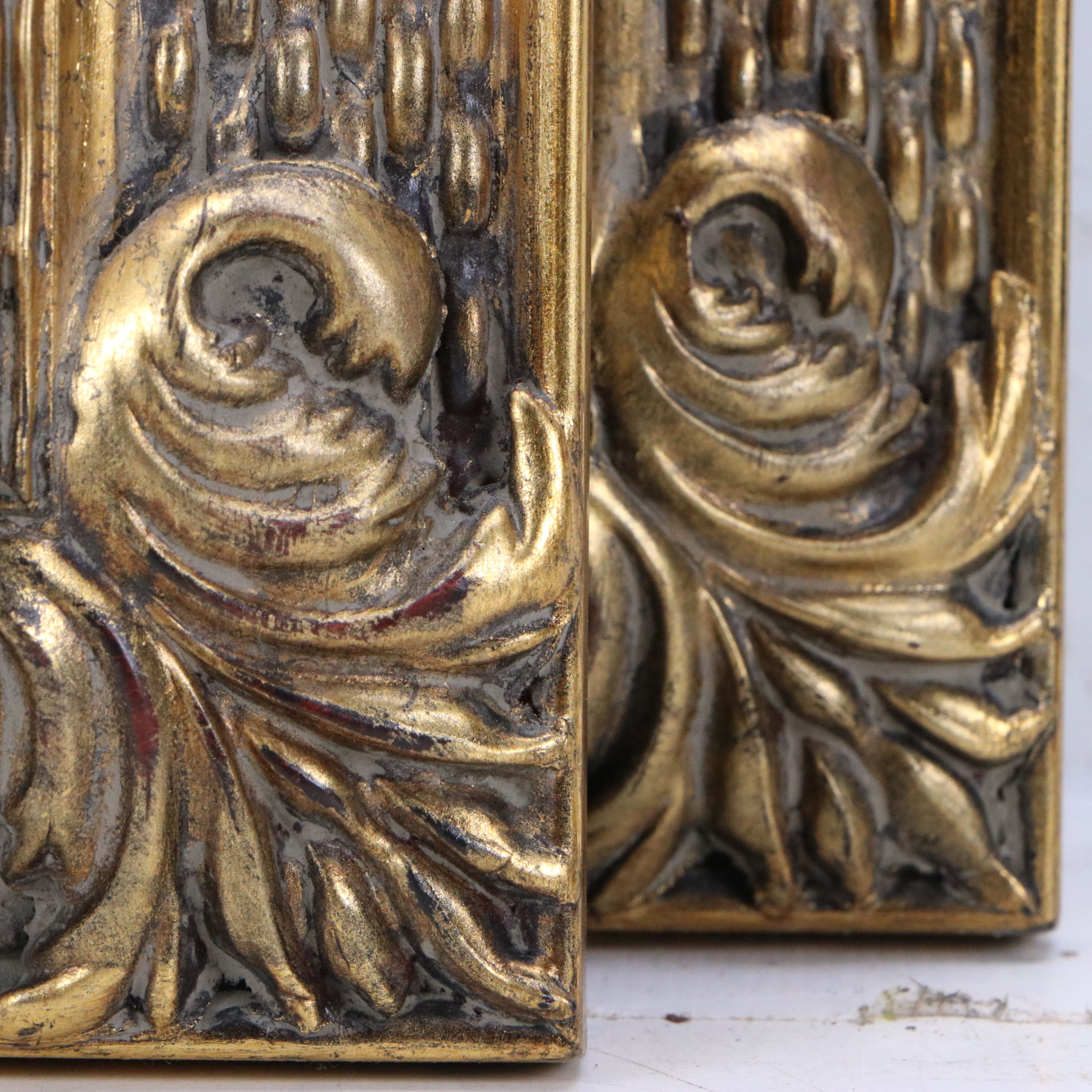 Botanical Illustration Reproduction Offset Lithographs