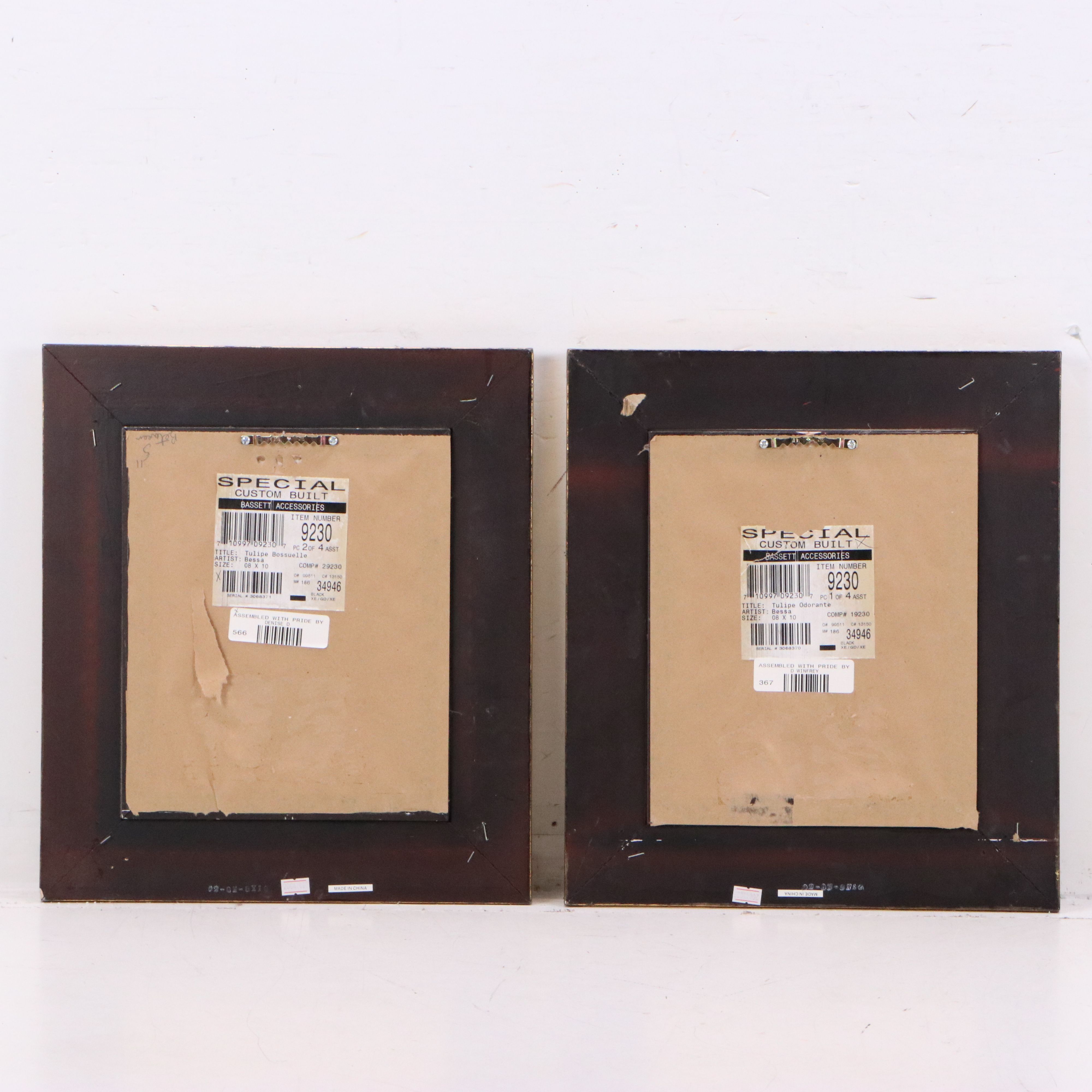 Botanical Illustration Reproduction Offset Lithographs