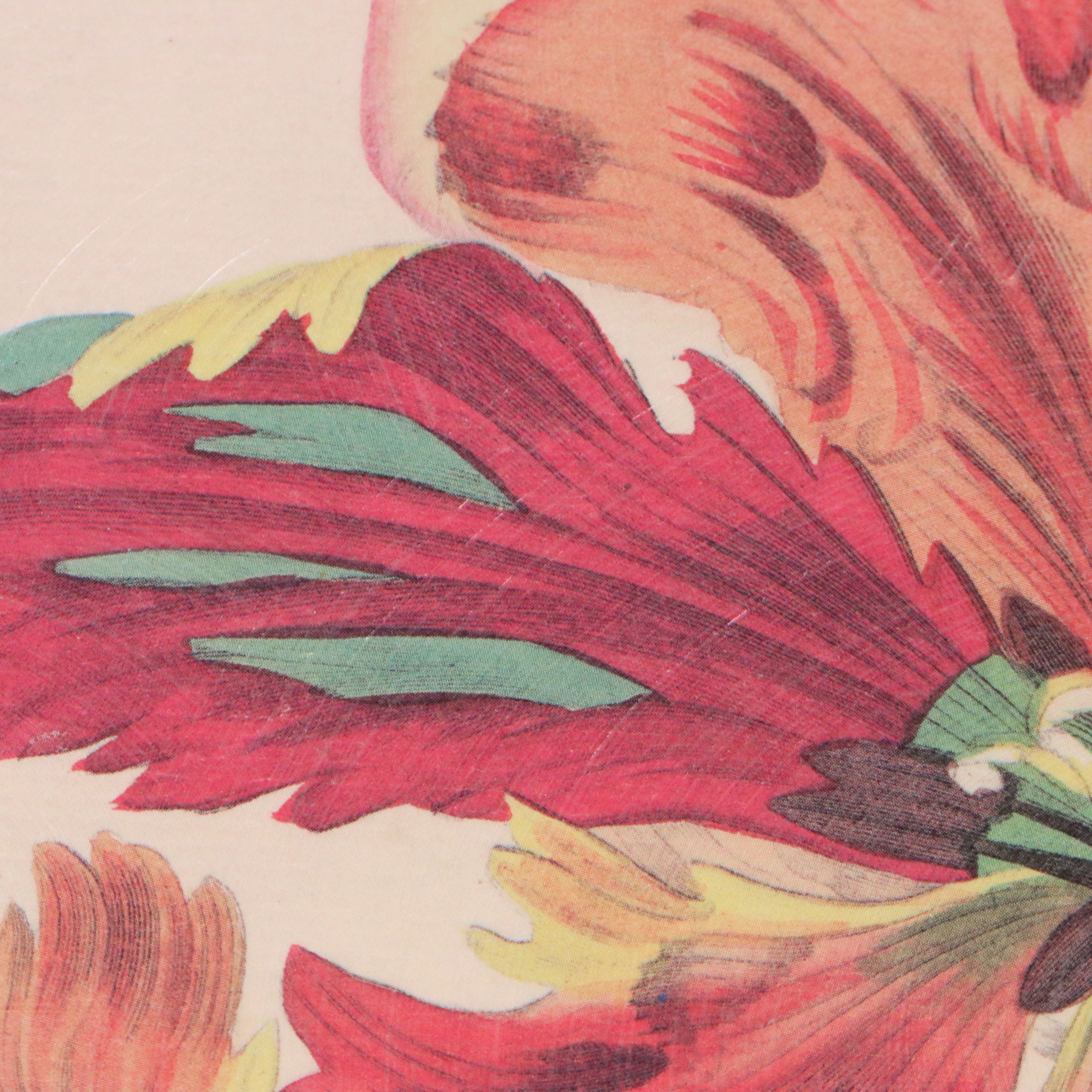 Botanical Illustration Reproduction Offset Lithographs