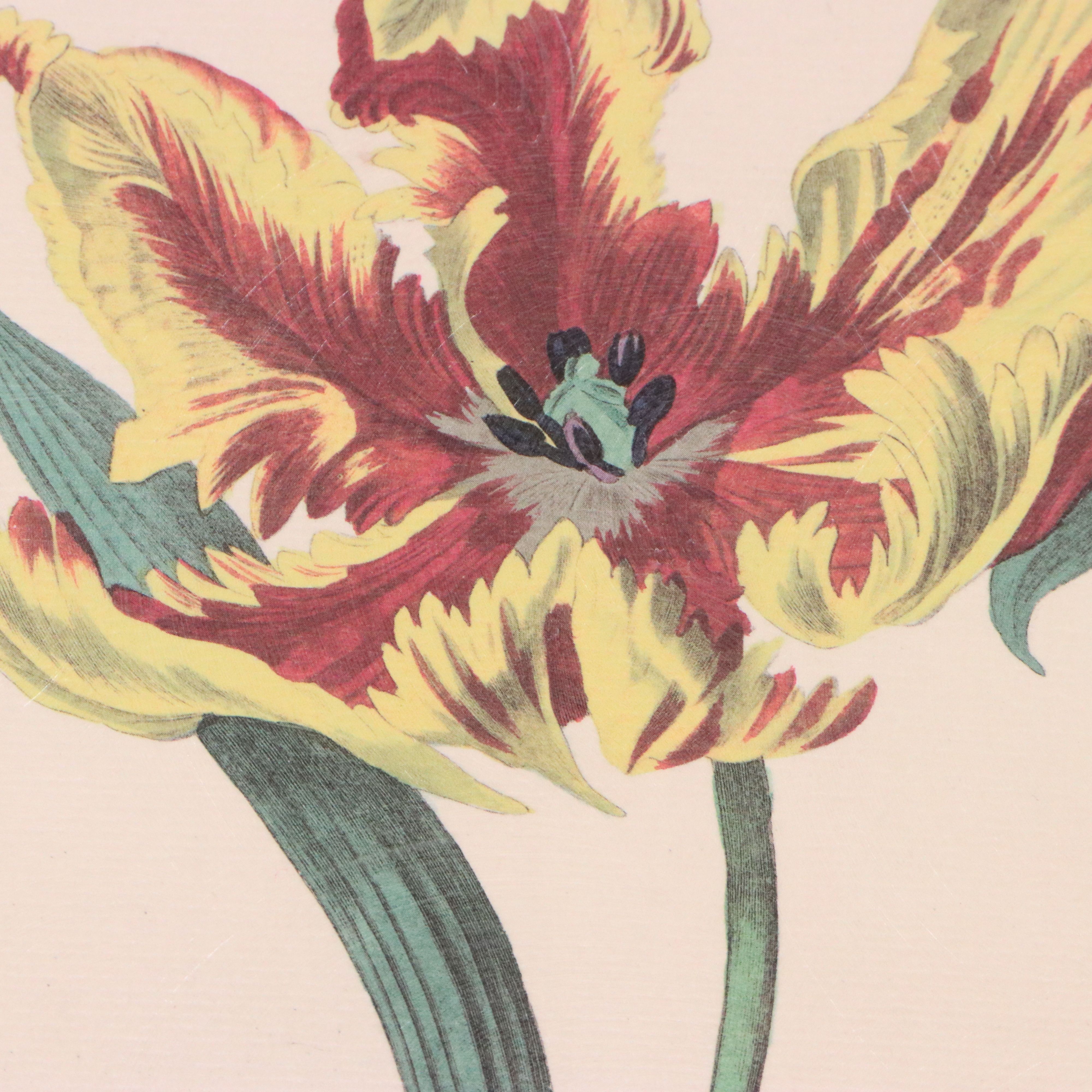 Botanical Illustration Reproduction Offset Lithographs