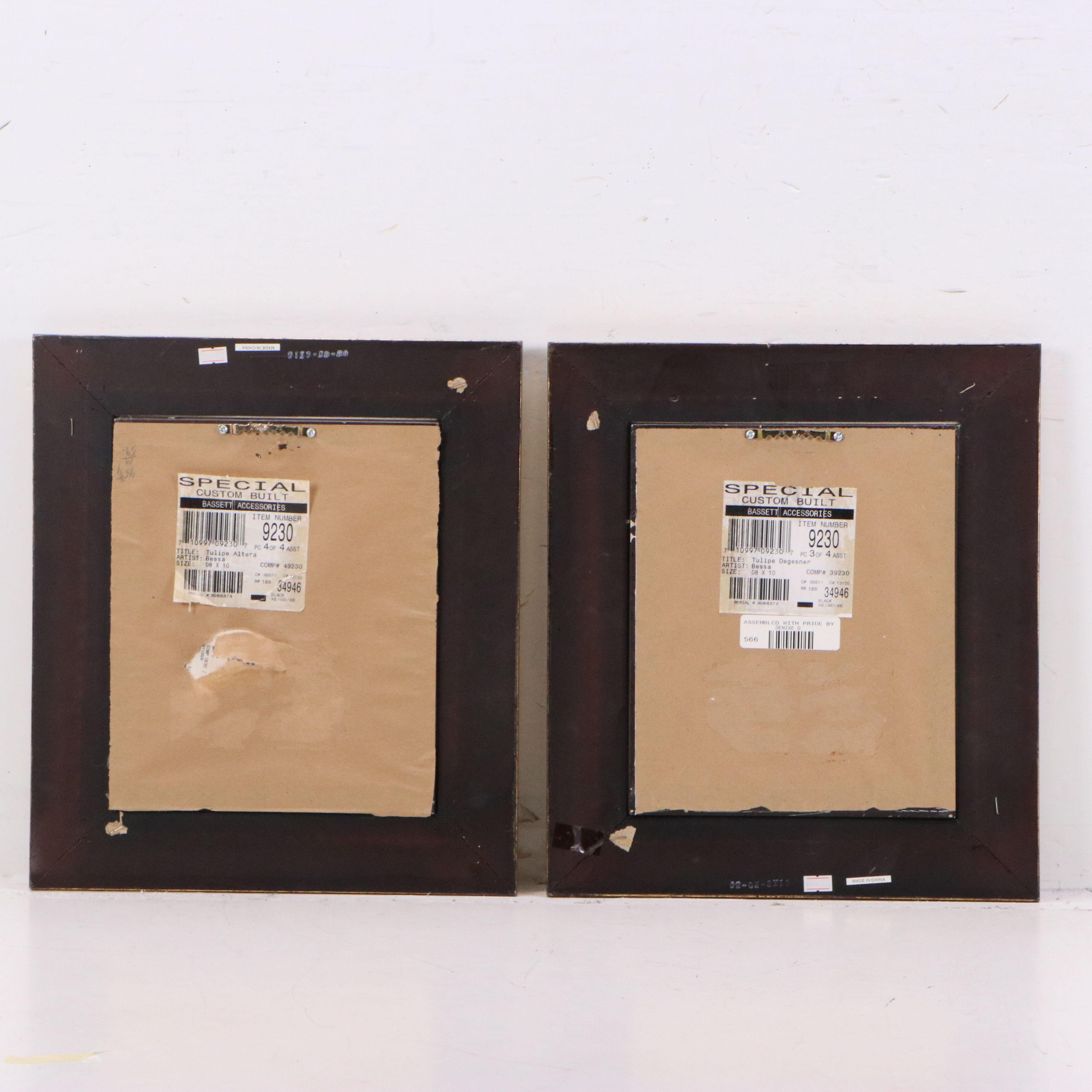 Botanical Illustration Reproduction Offset Lithographs