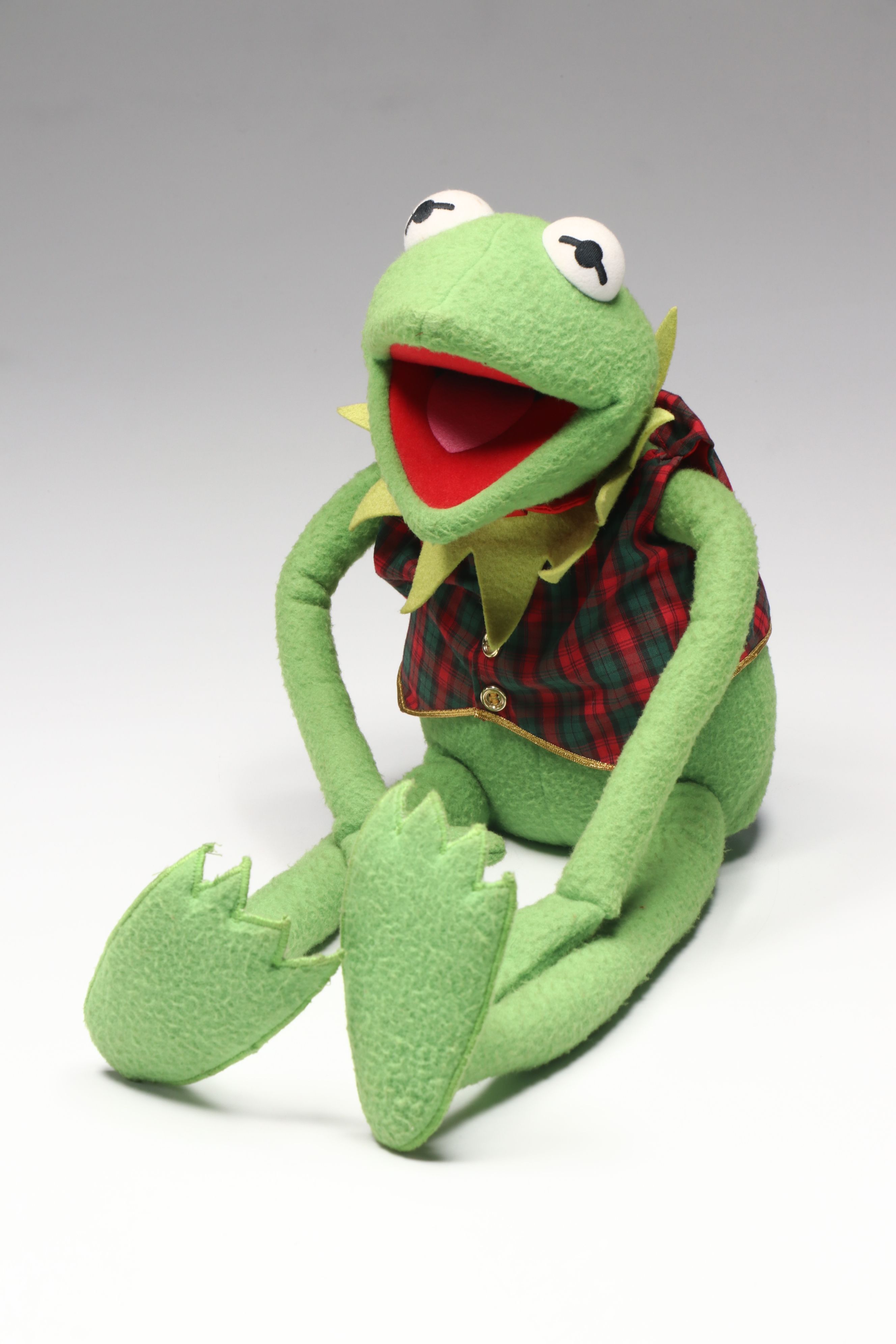 Plush Kermit the Frog, Buzz Lightyear Toys, and Mega Bloks Building Blocks