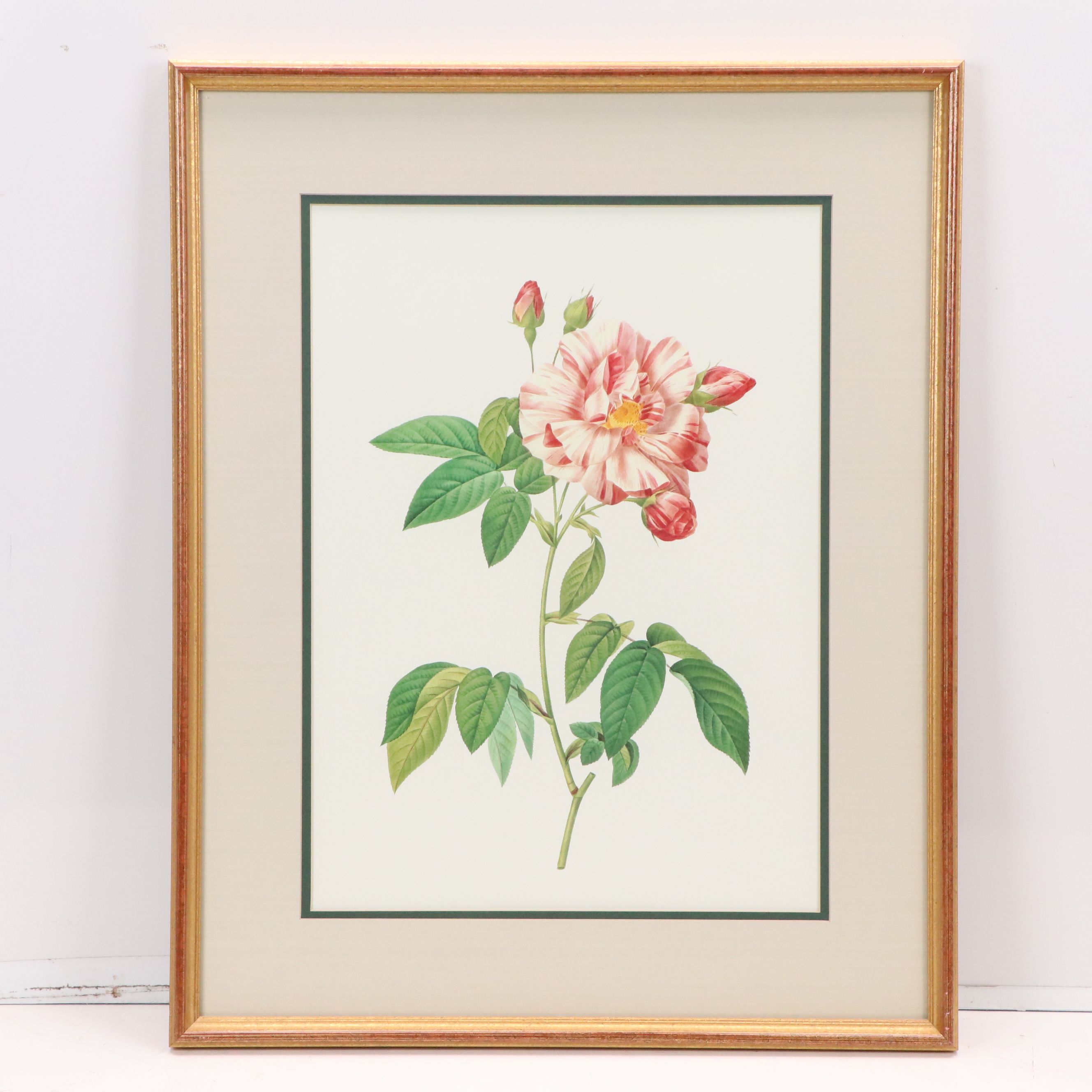 Botanical Offset Lithographs After Pierre-Joseph Redouté, 21st Century