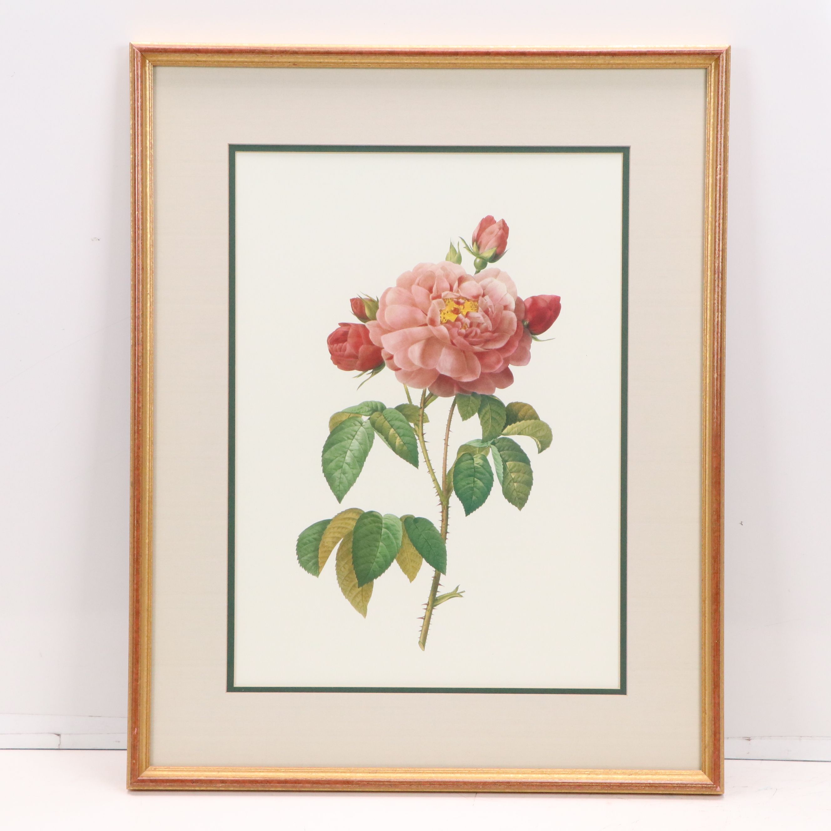 Botanical Offset Lithographs After Pierre-Joseph Redouté, 21st Century