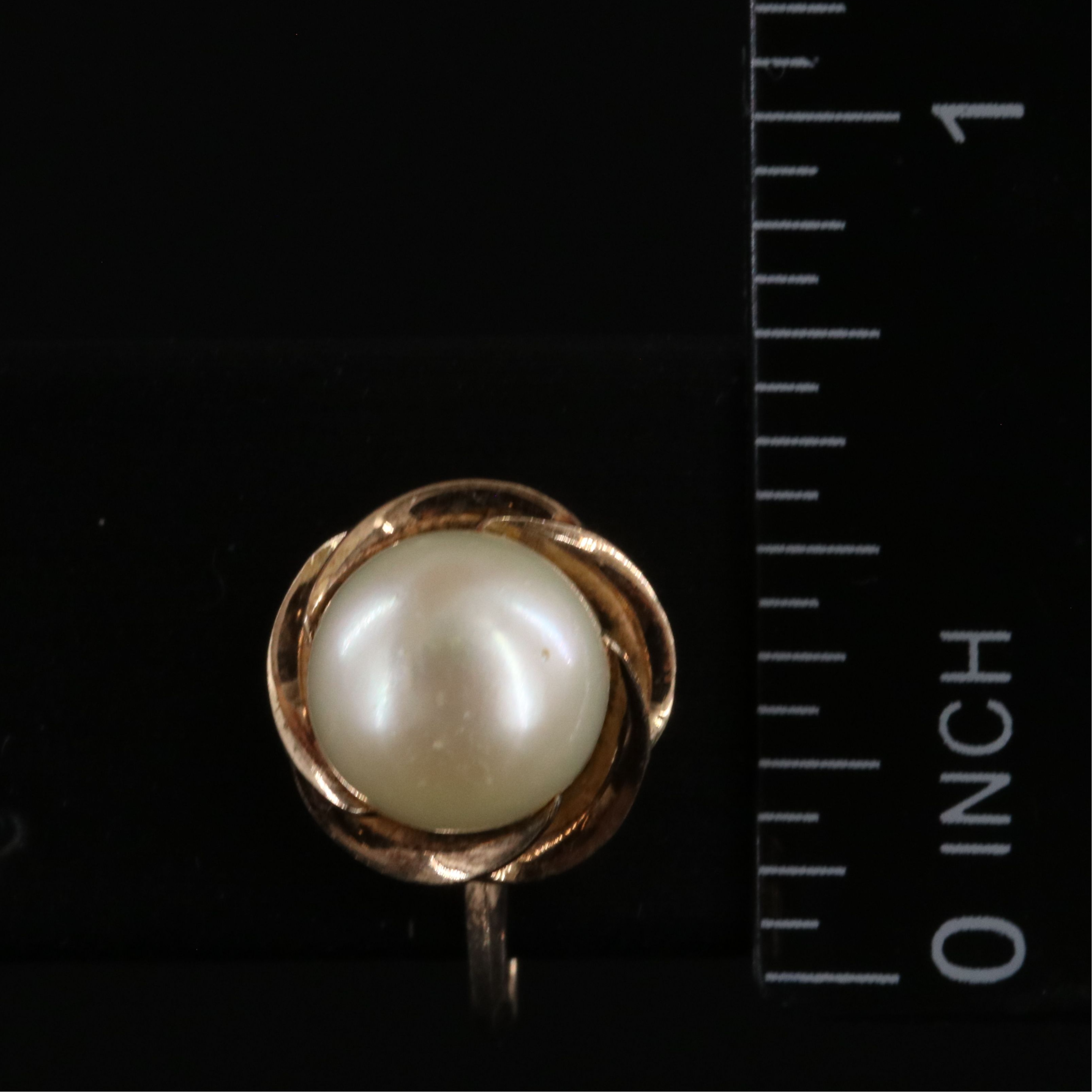 14K Pearl Screw Back Earrings with Scalloped Setting