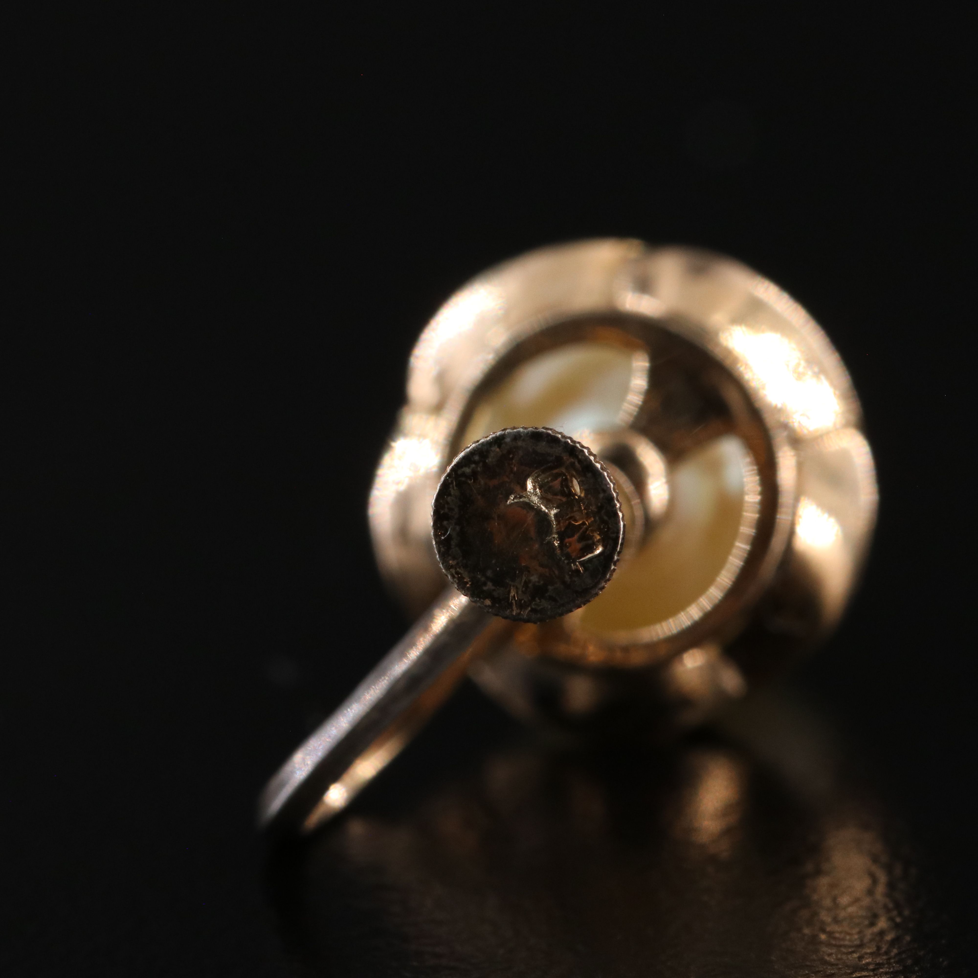 14K Pearl Screw Back Earrings with Scalloped Setting