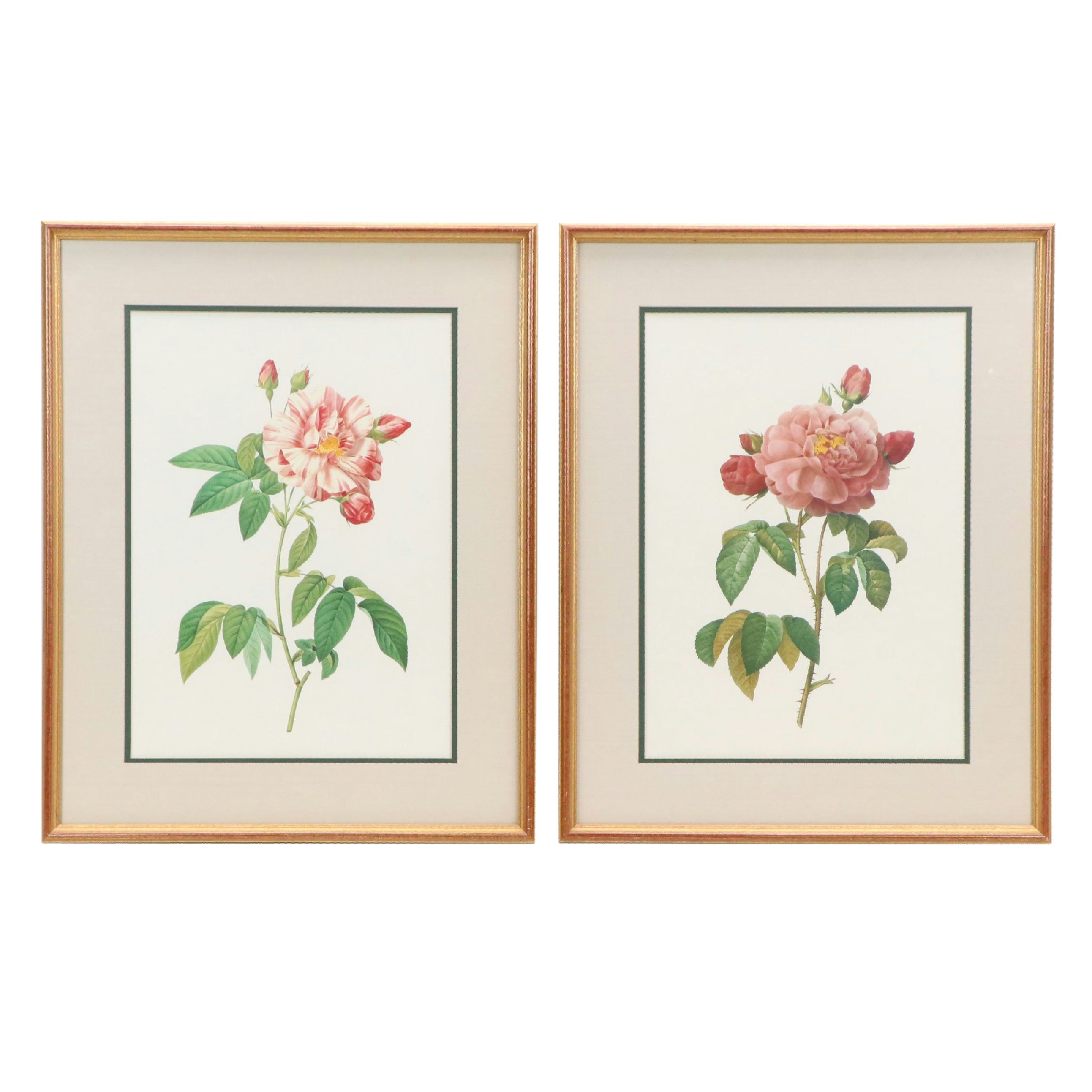 Botanical Offset Lithographs After Pierre-Joseph Redouté, 21st Century