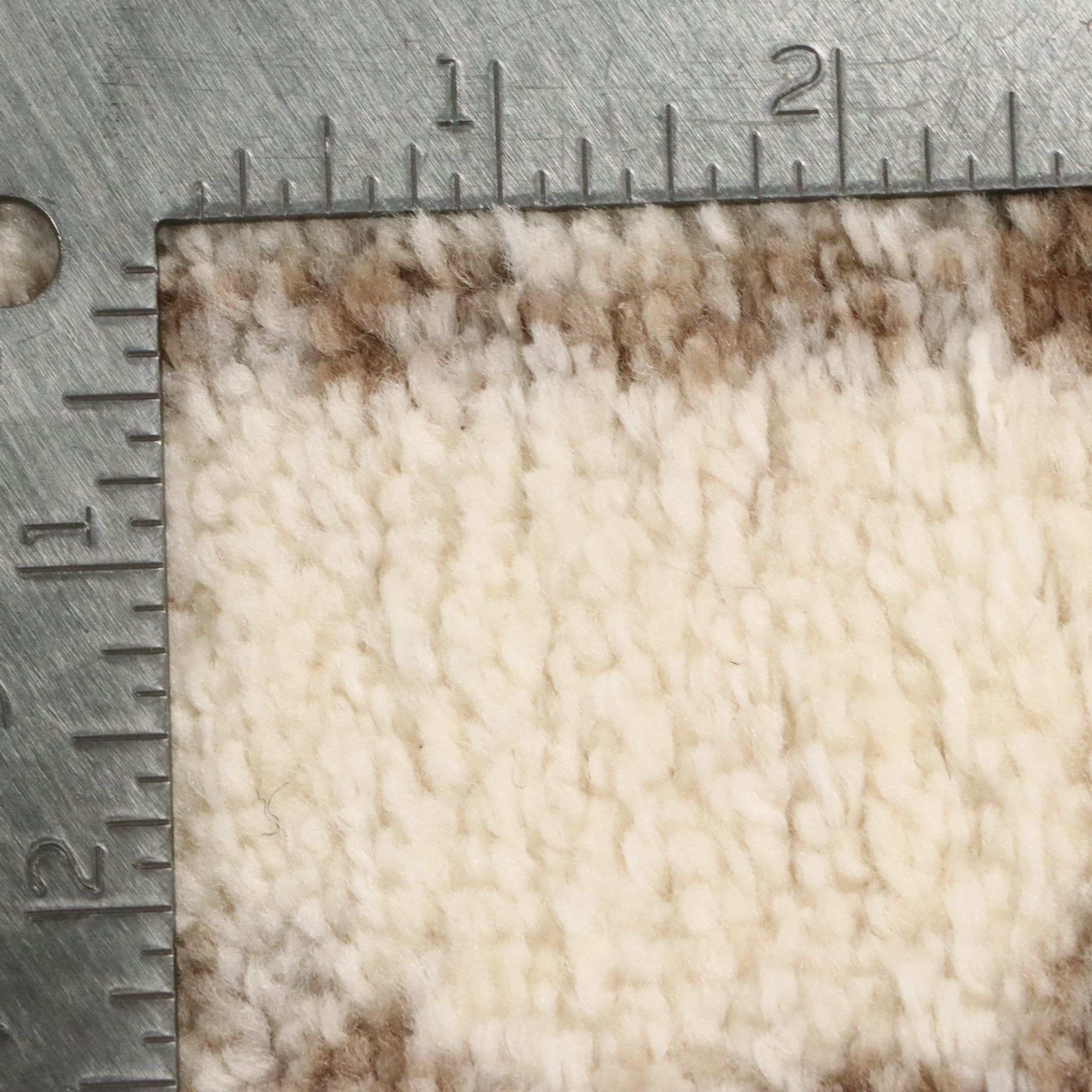 7' x 10'1 Machine Made Threshold Global Medallion Pattern Area Rug