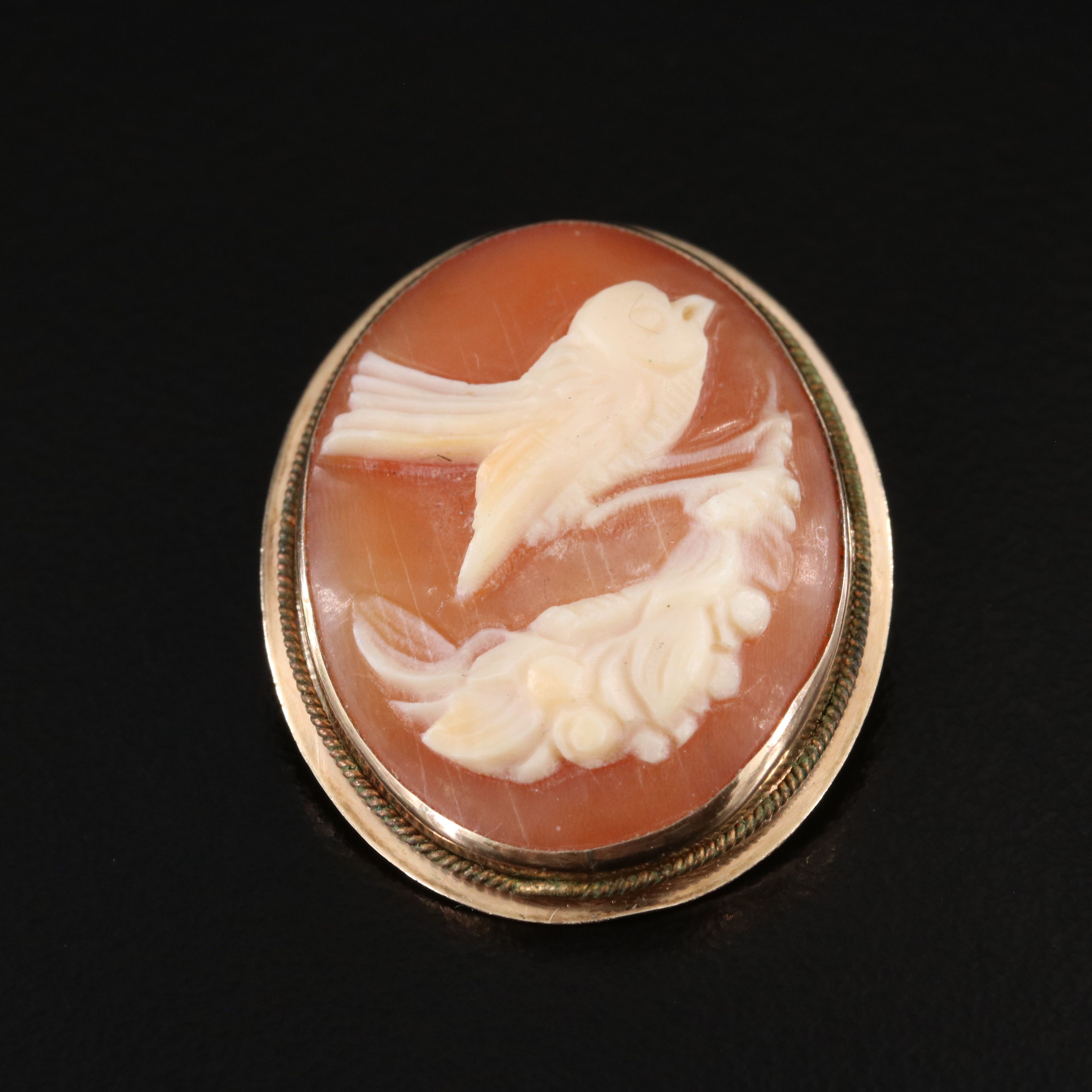 Antique 10K Shell Swallow Cameo Converter Pin