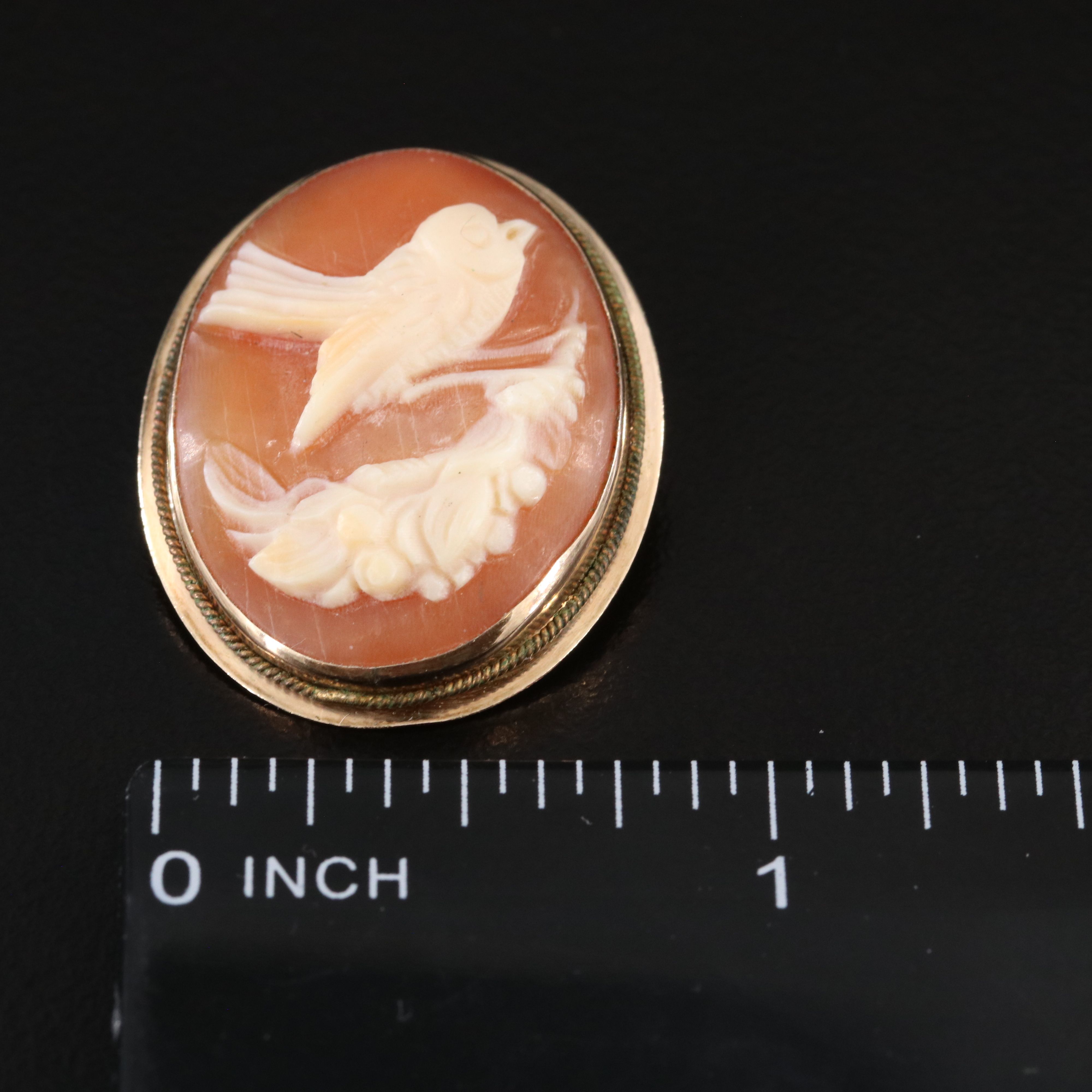 Antique 10K Shell Swallow Cameo Converter Pin