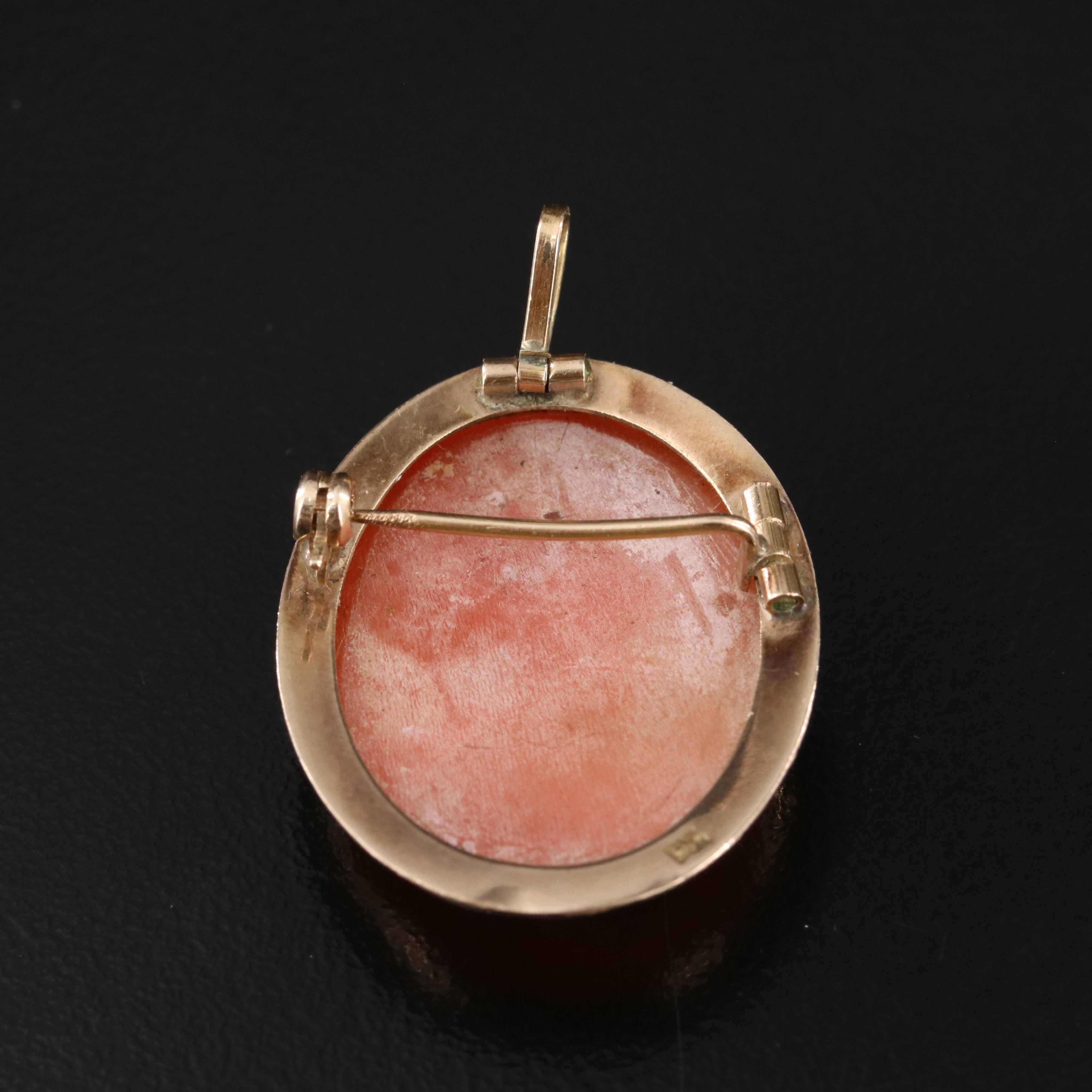 Antique 10K Shell Swallow Cameo Converter Pin