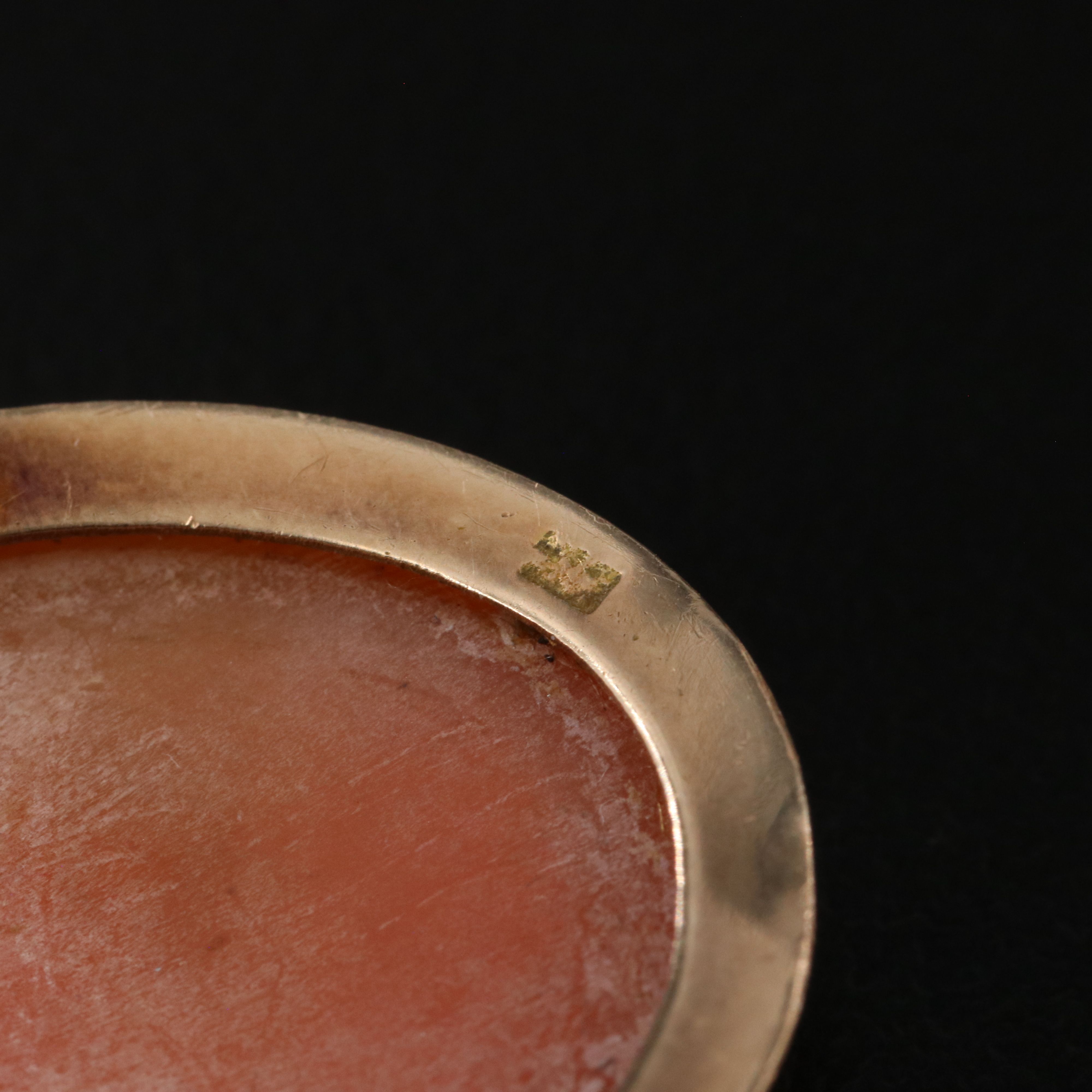 Antique 10K Shell Swallow Cameo Converter Pin