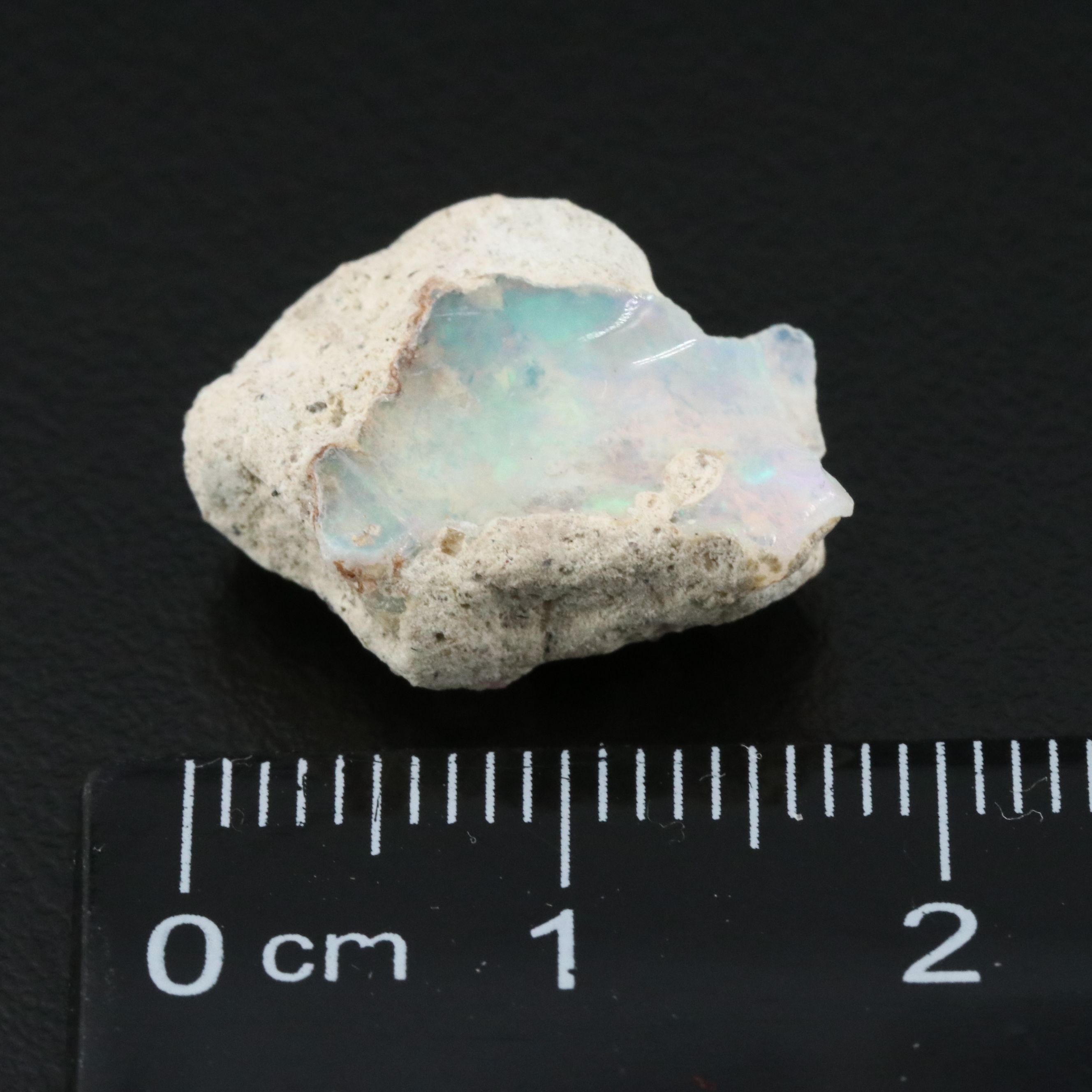 Loose 19.74 CTW Opal Rough