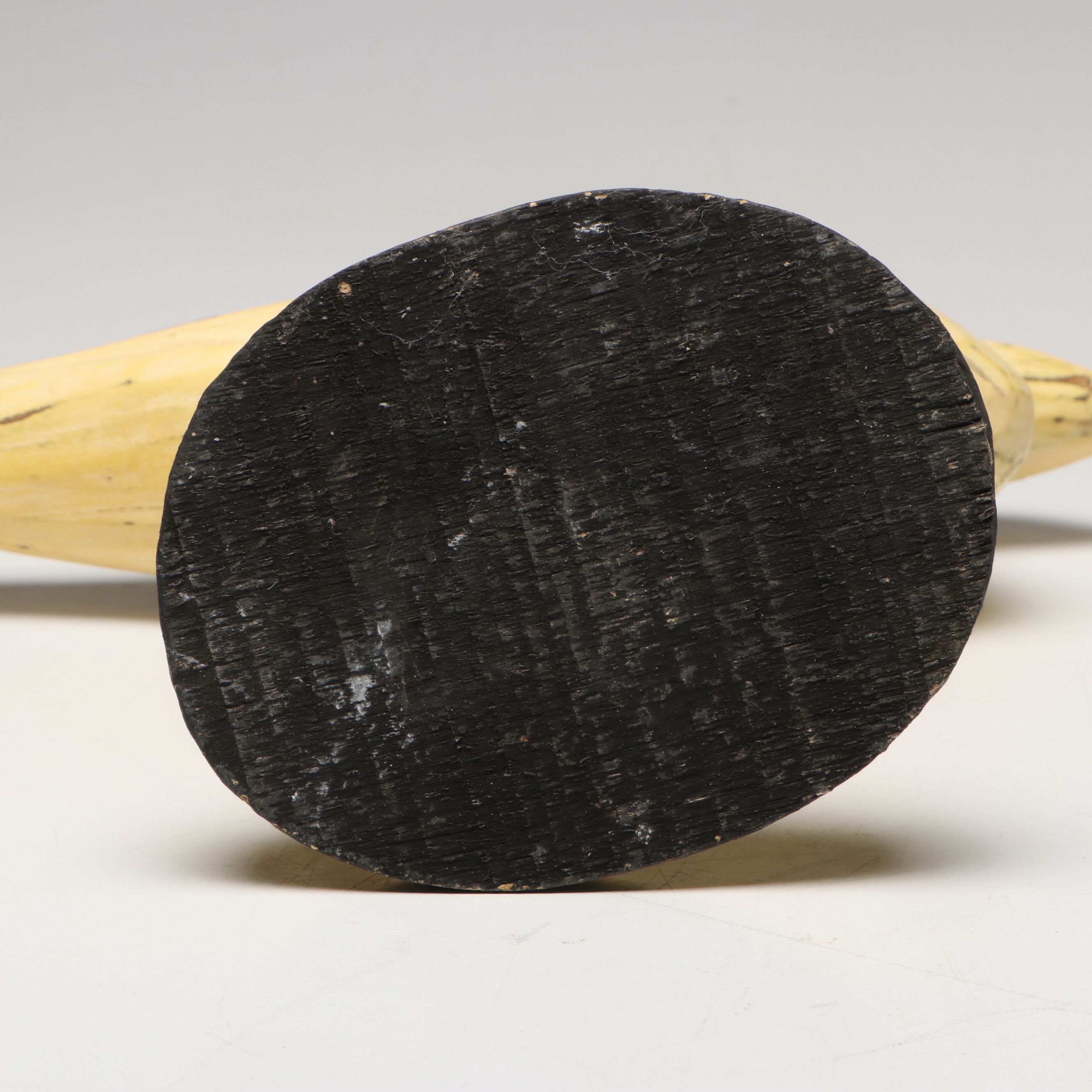 Hand-Painted Carved Wood Avocet and More Shorebird Sculptures