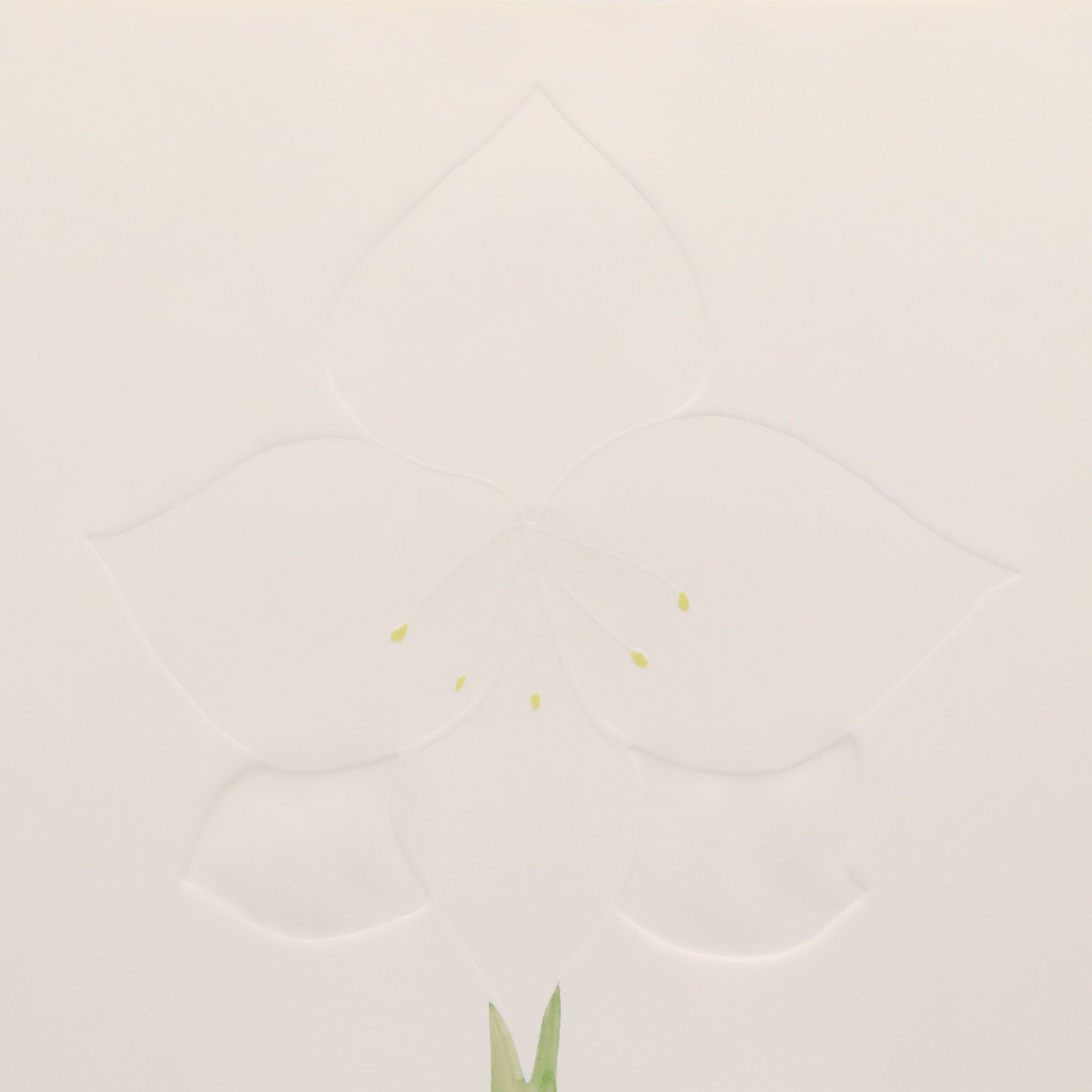 Signed Watercolor on Intaglio Print "Amaryllis," 1982