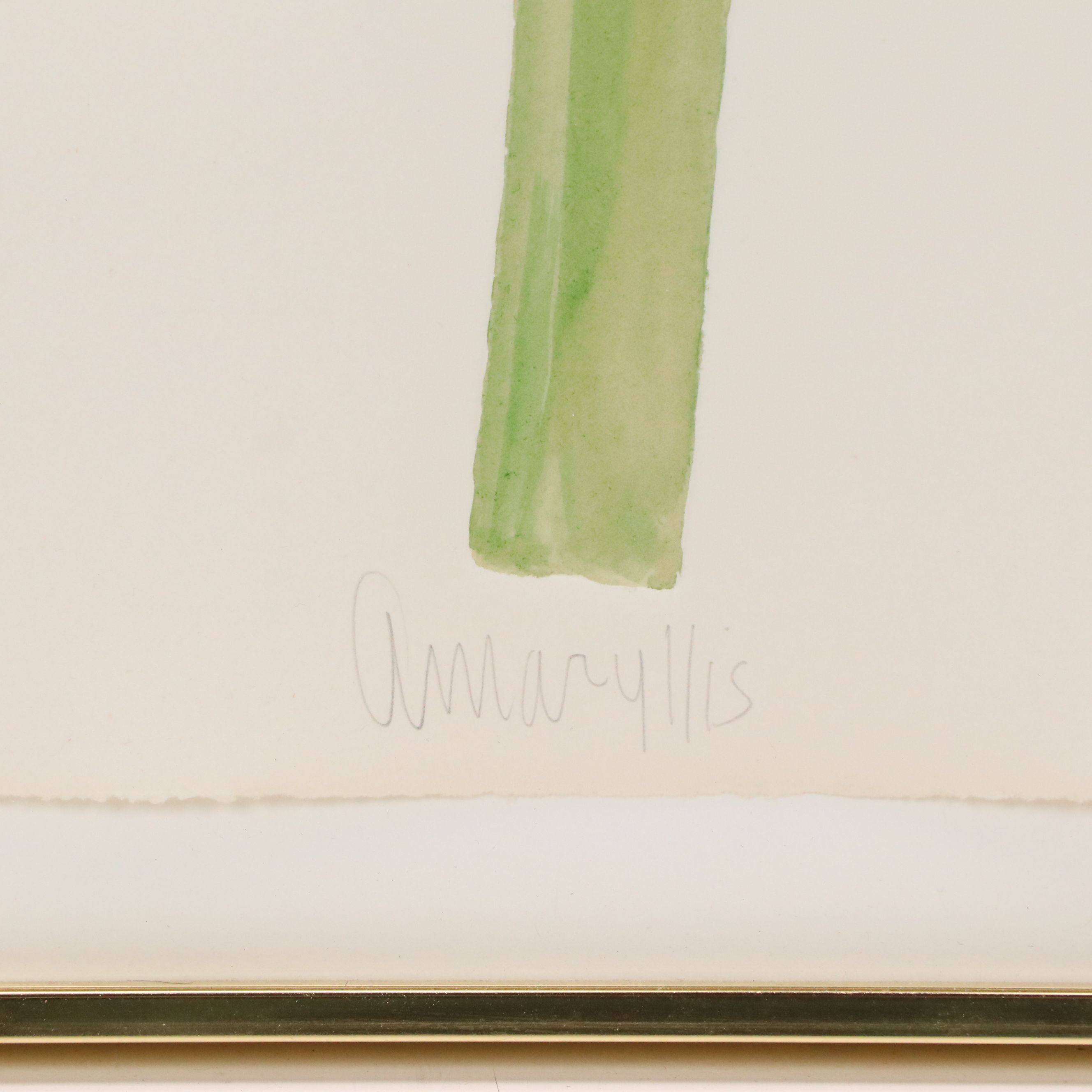 Signed Watercolor on Intaglio Print "Amaryllis," 1982