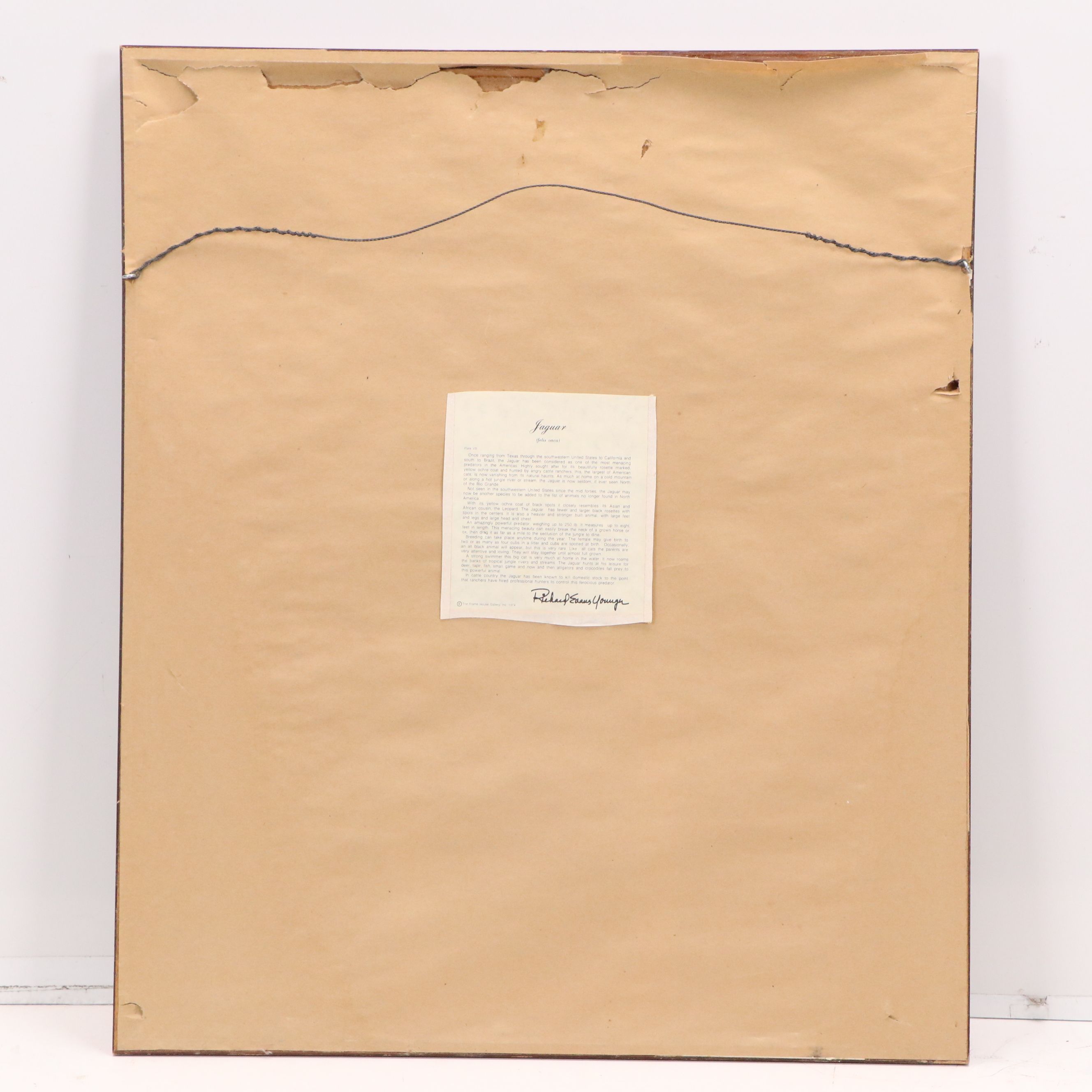 Richard Evans Younger Offset Lithograph "Jaguar (Felis Onca)," Circa 1974