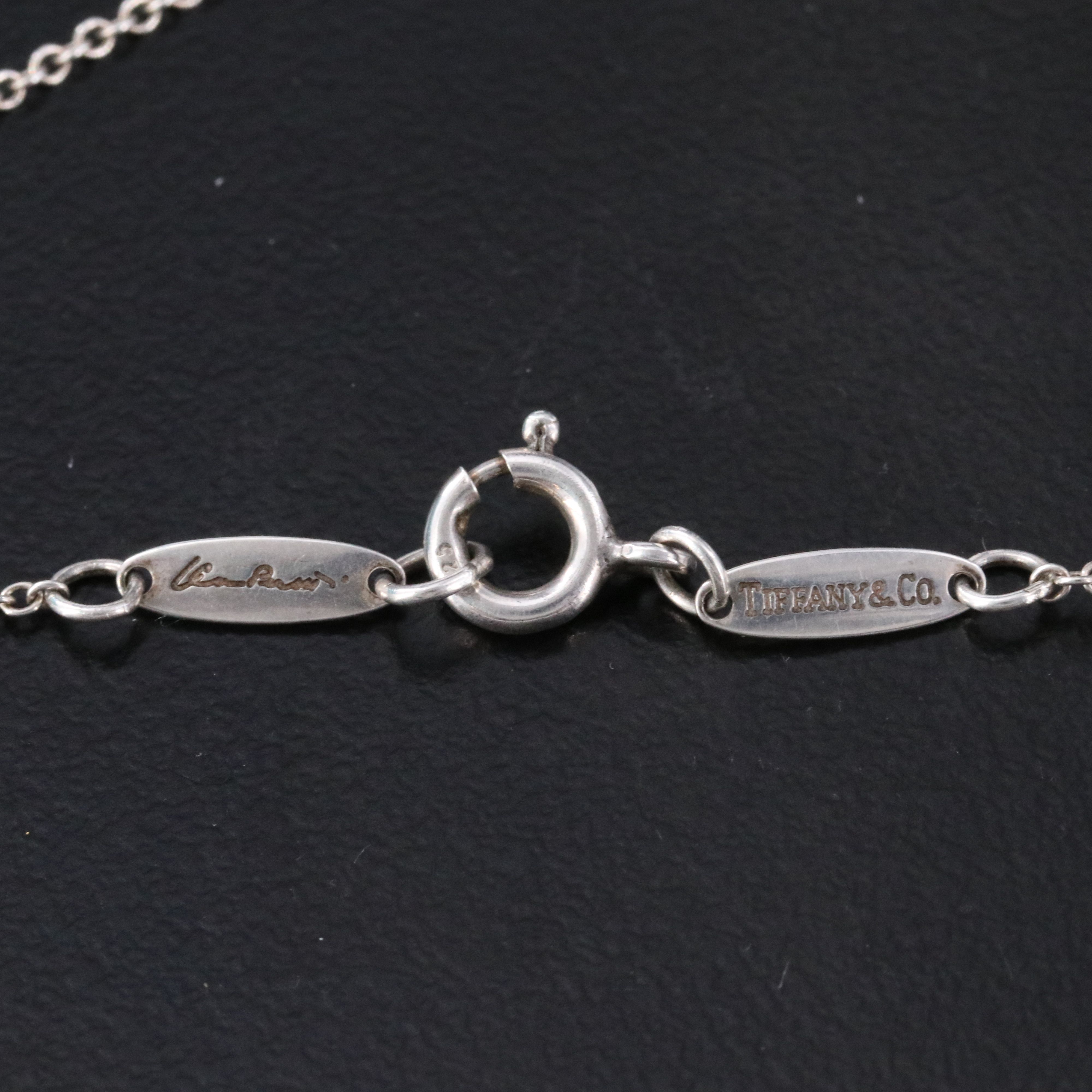 Elsa Perretti for Tiffany & Co. Sterling Silver Teardrop Pendant Necklace