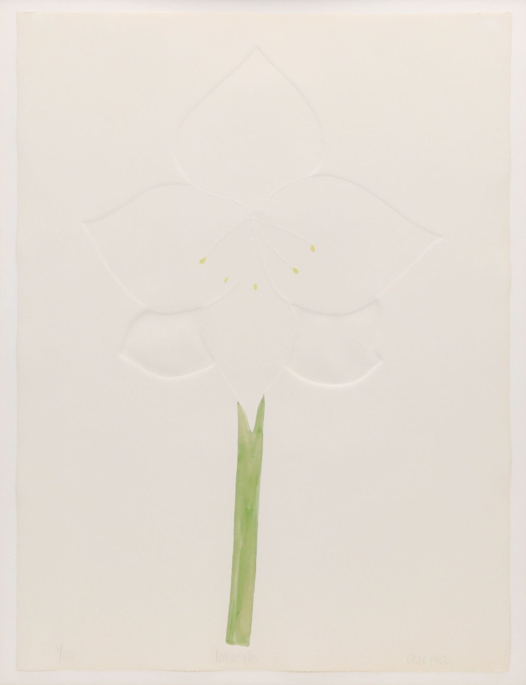 Signed Watercolor on Intaglio Print "Amaryllis," 1982