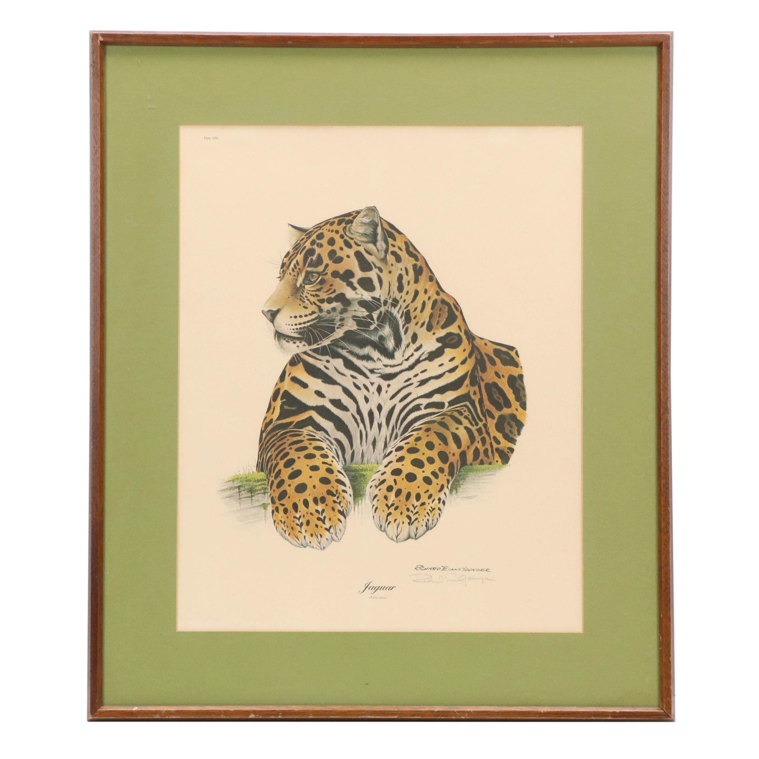 Richard Evans Younger Offset Lithograph "Jaguar (Felis Onca)," Circa 1974