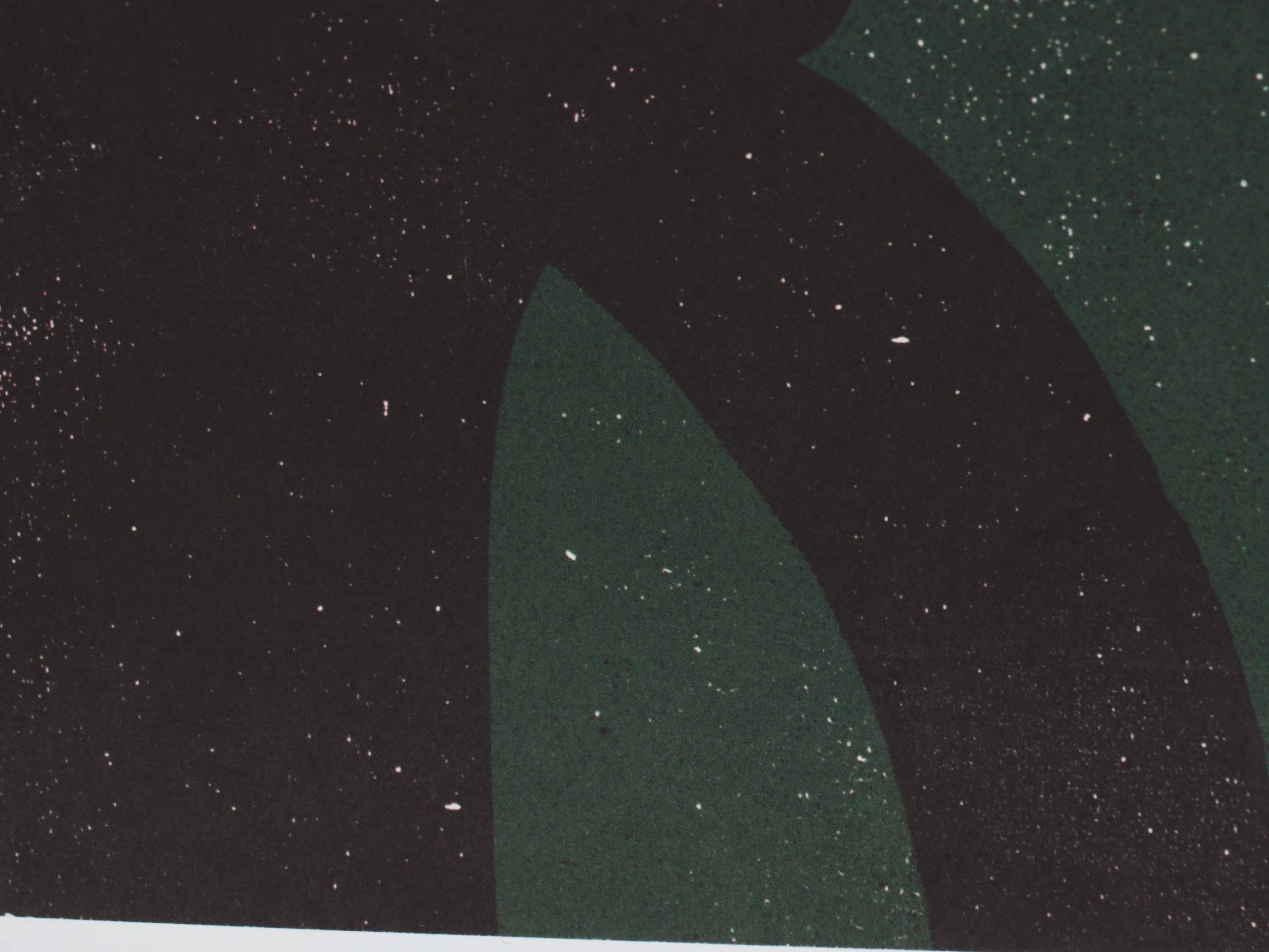 Paul Insect Offset Lithograph "YPJ," 2019