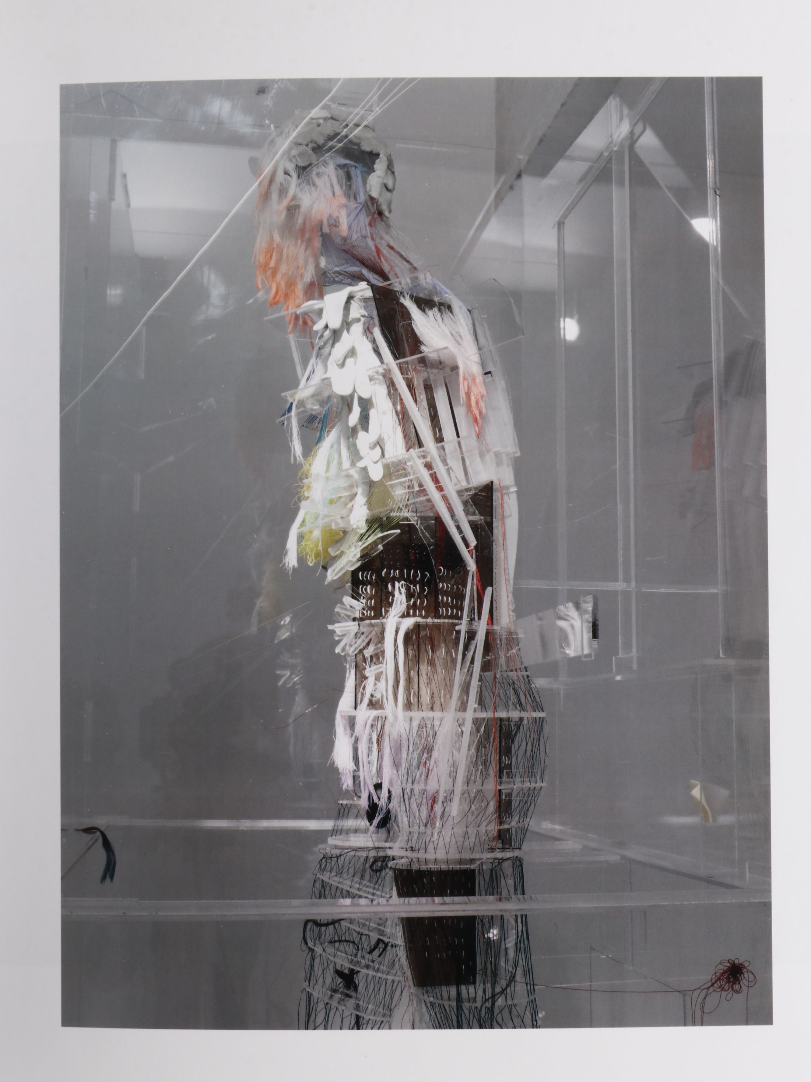 First Edition "David Altmejd" Edited by Isabel Venero, 2014