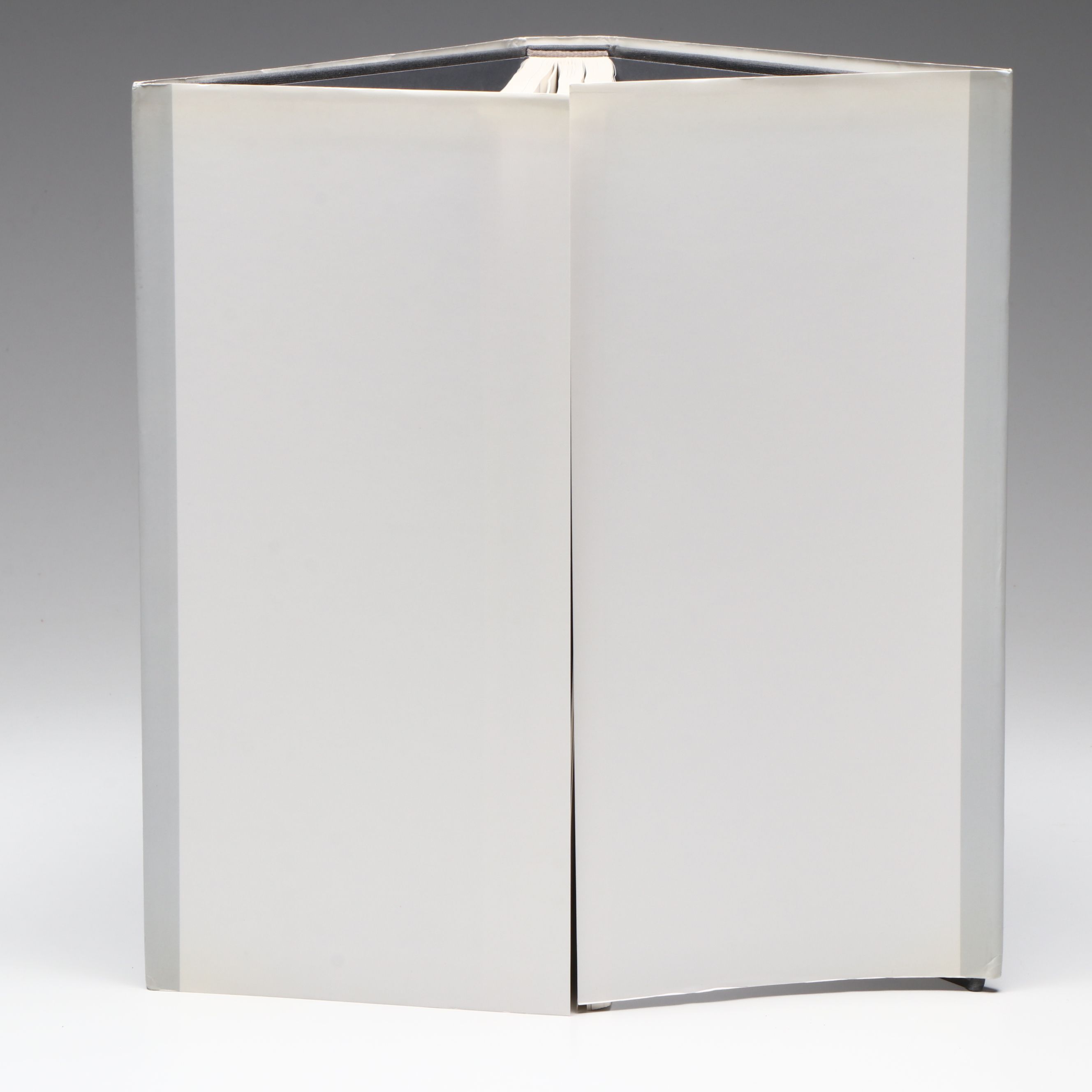 First Edition "David Altmejd" Edited by Isabel Venero, 2014