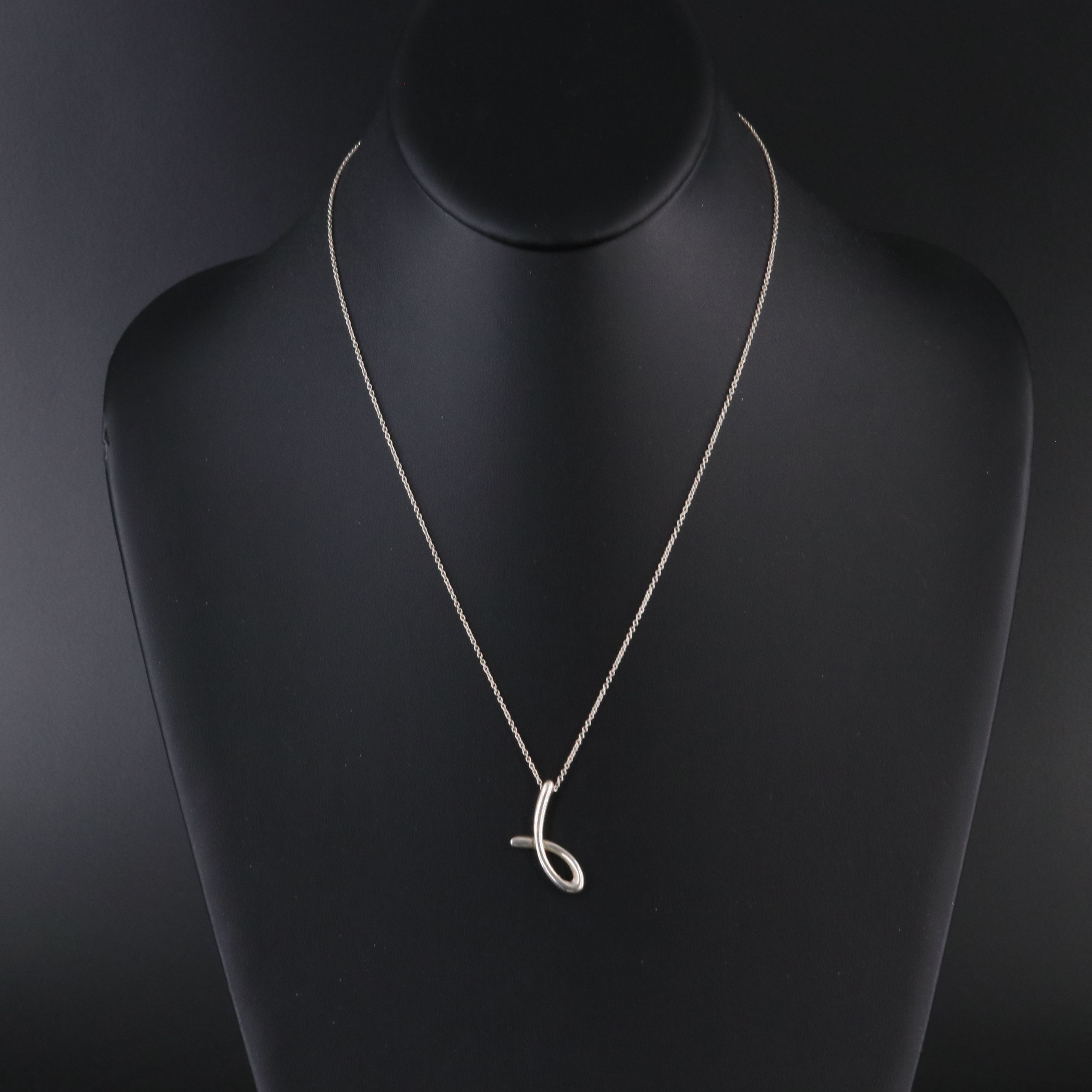 Elsa Peretti for Tiffany & Co. Sterling J Necklace